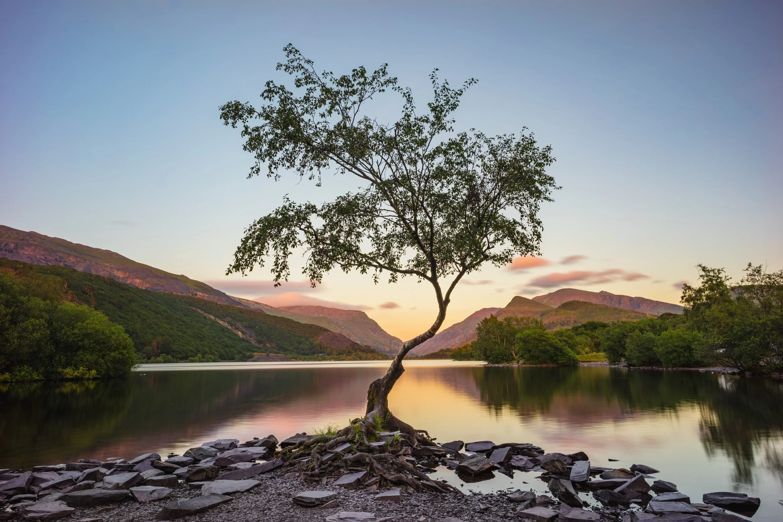 “Health problems are like plants. You have to get to the roots in order to prevent them from popping up again.”