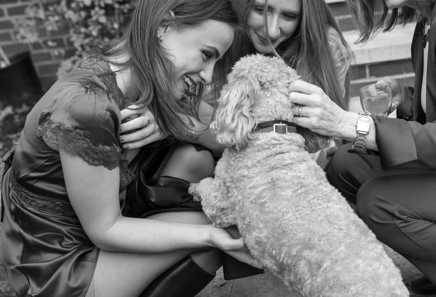 Not sure why but this doggie love was one of my faves from a backyard wedding session.