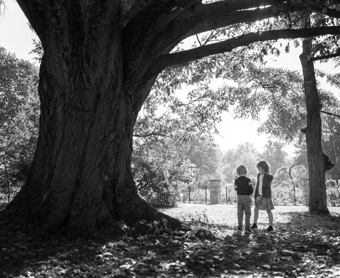 2026&hellip;how do we feel about it?