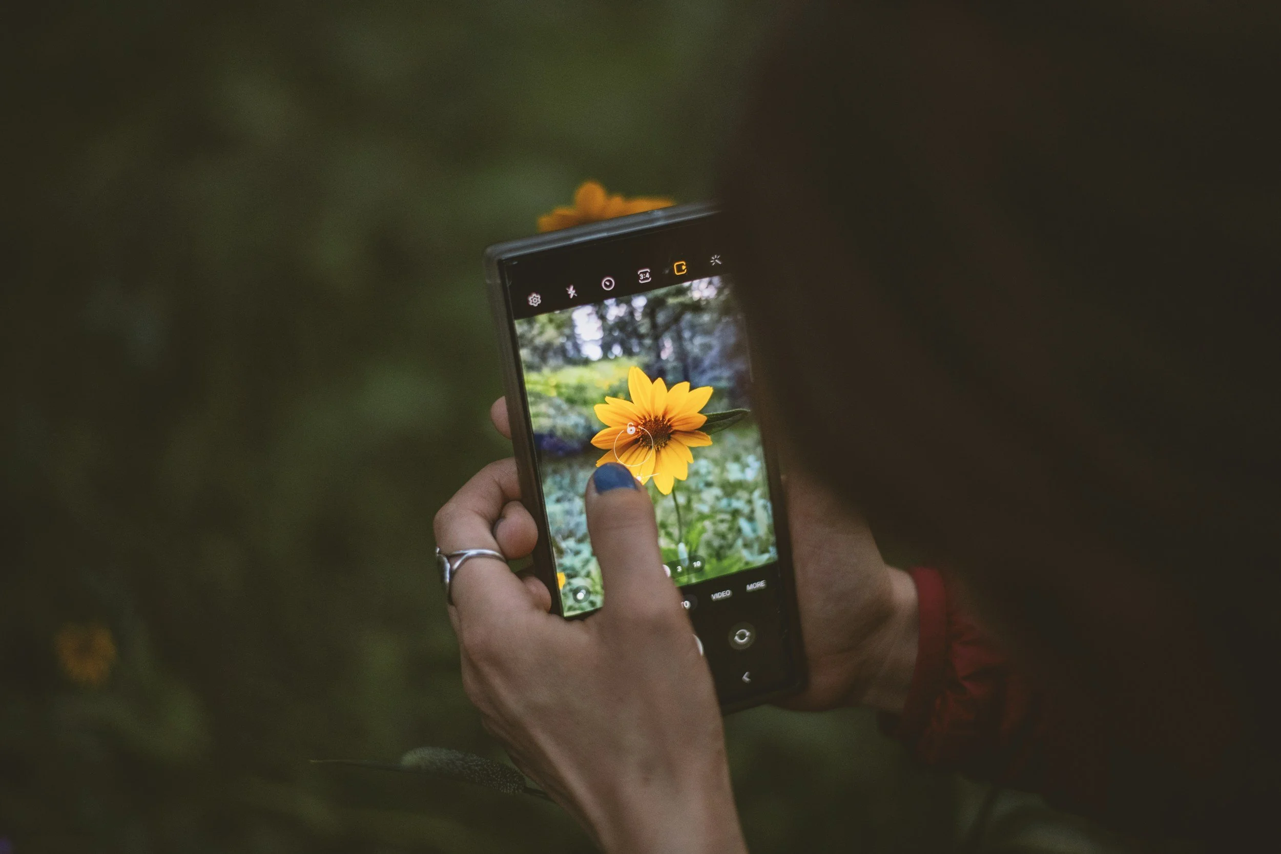 Technology and Nature