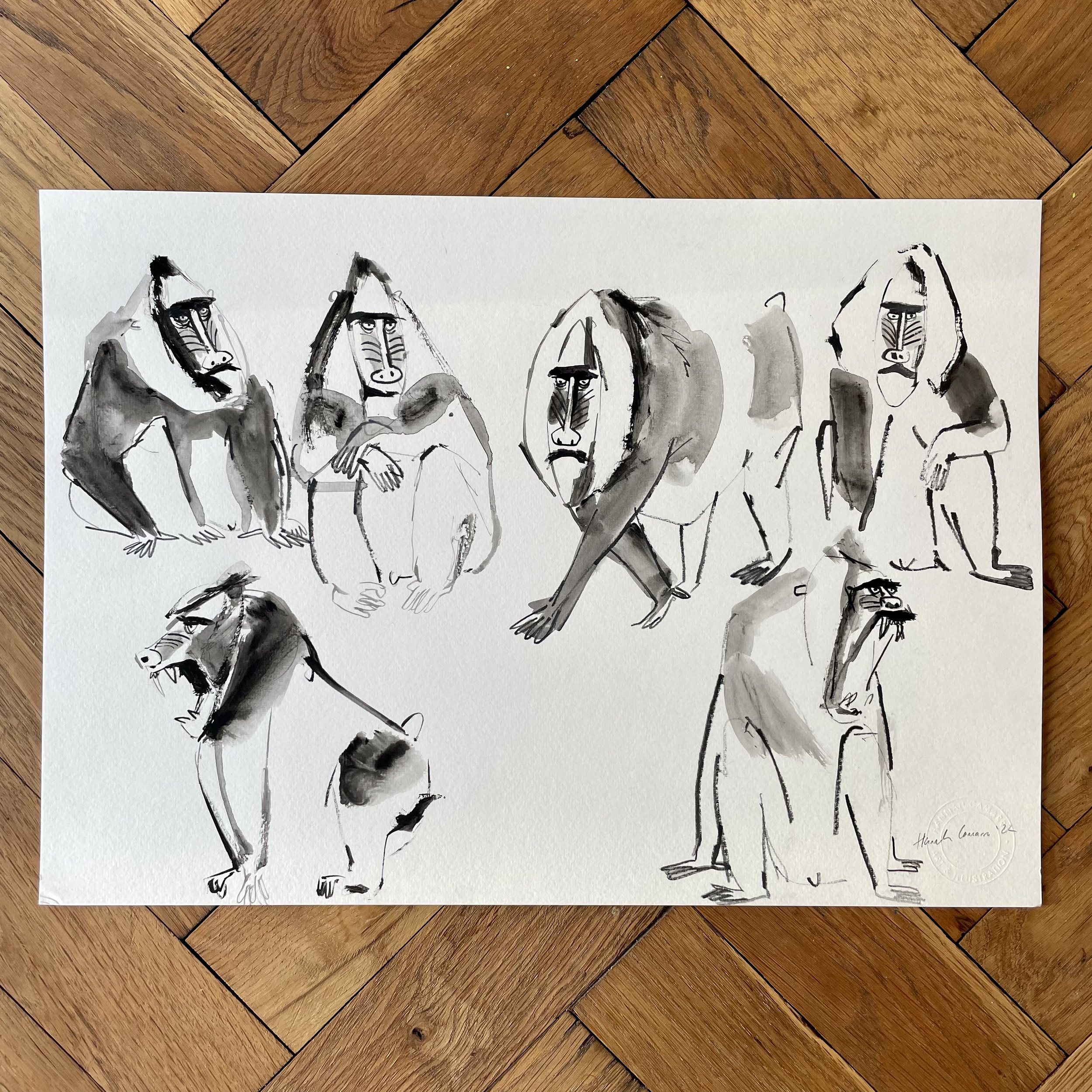 Mandrills I
