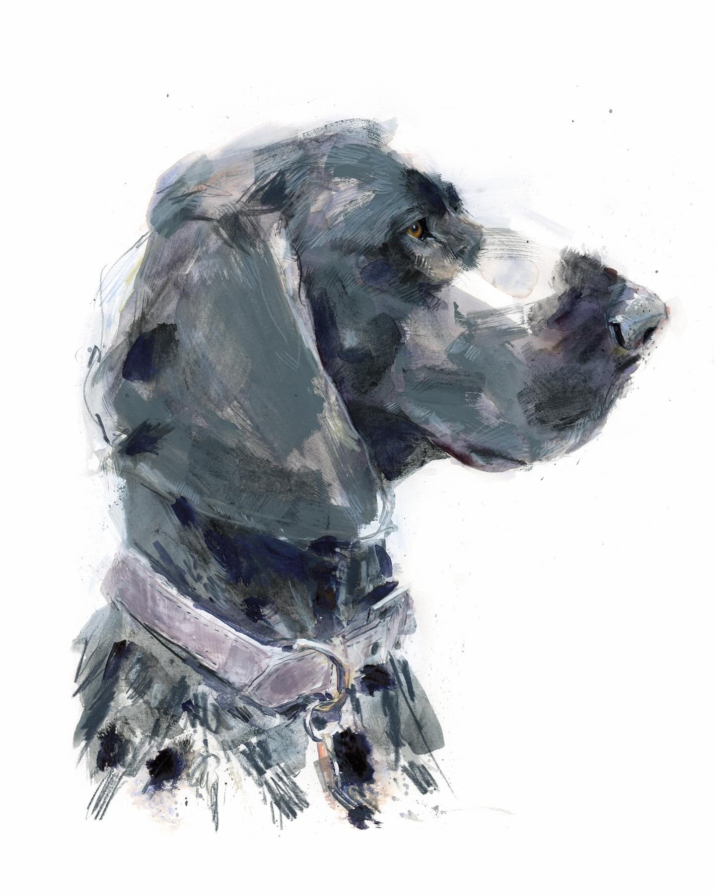 This is beautiful Painter the Pointer I painted a while back. Such gorgeous markings to paint 🥰
I loved creating her portrait, thank you @hollysurplice 💕xx

#smallbusinessuk #animalportraitartist #animalportrait #dogportrait #catportrait #petportra