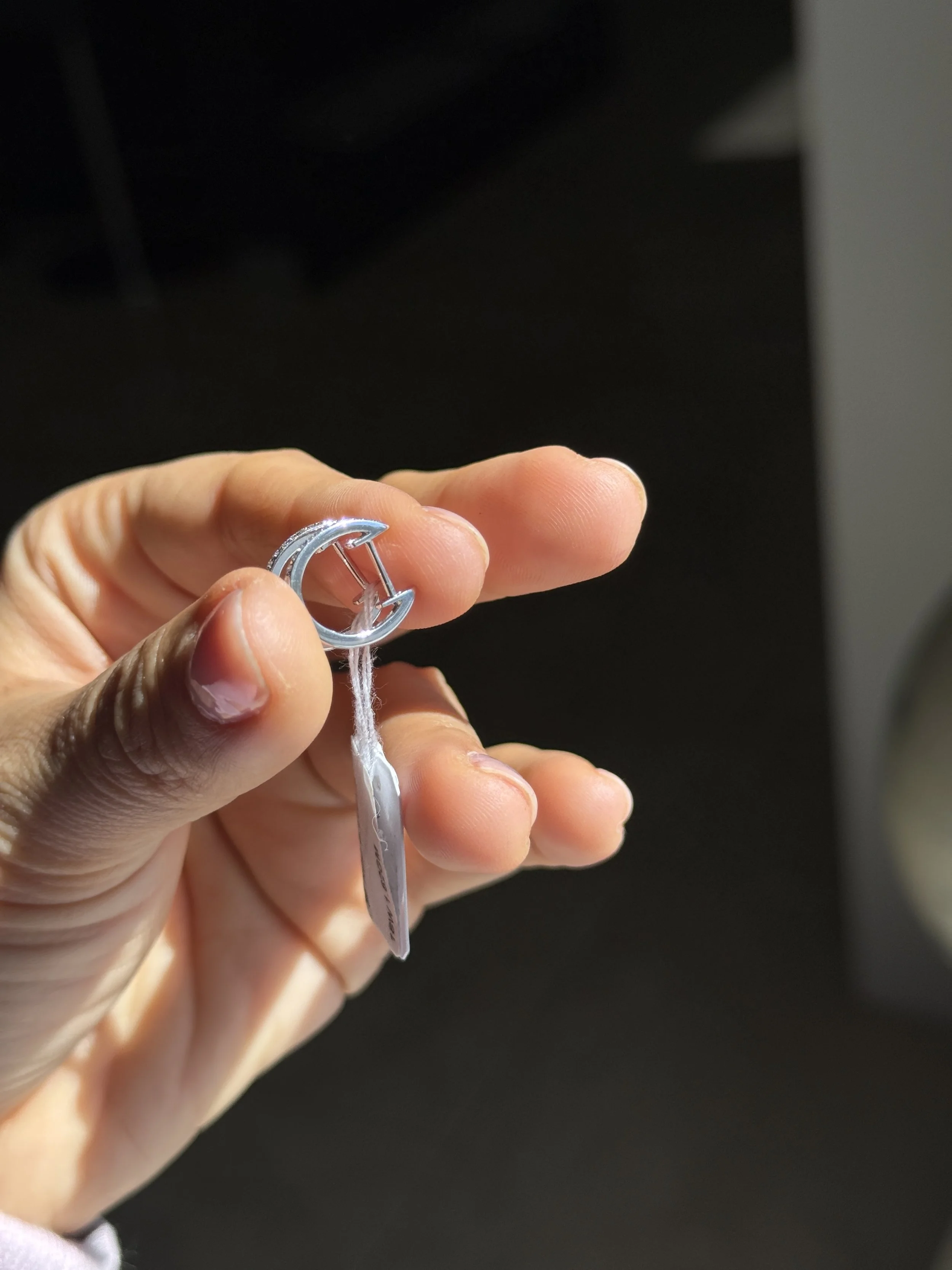 channel hoops WG 4.JPG