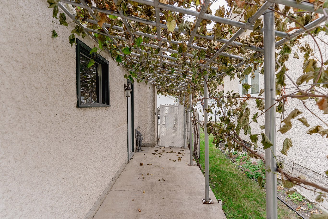 4. 11 Deborah Place.jpg