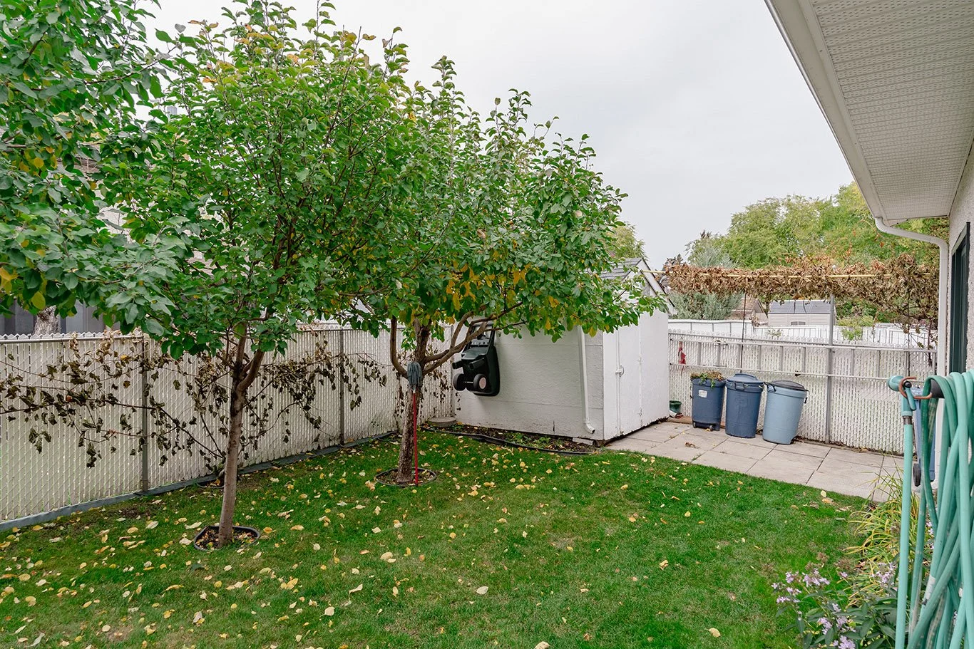 6. 11 Deborah Place.jpg