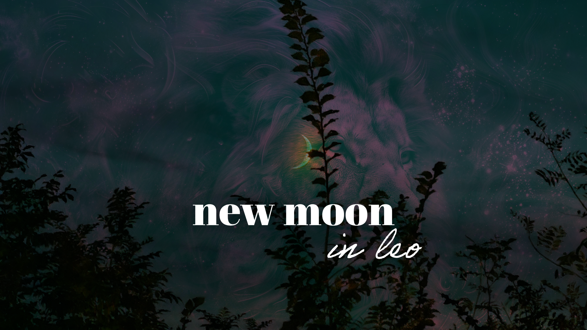 New Moon in Leo