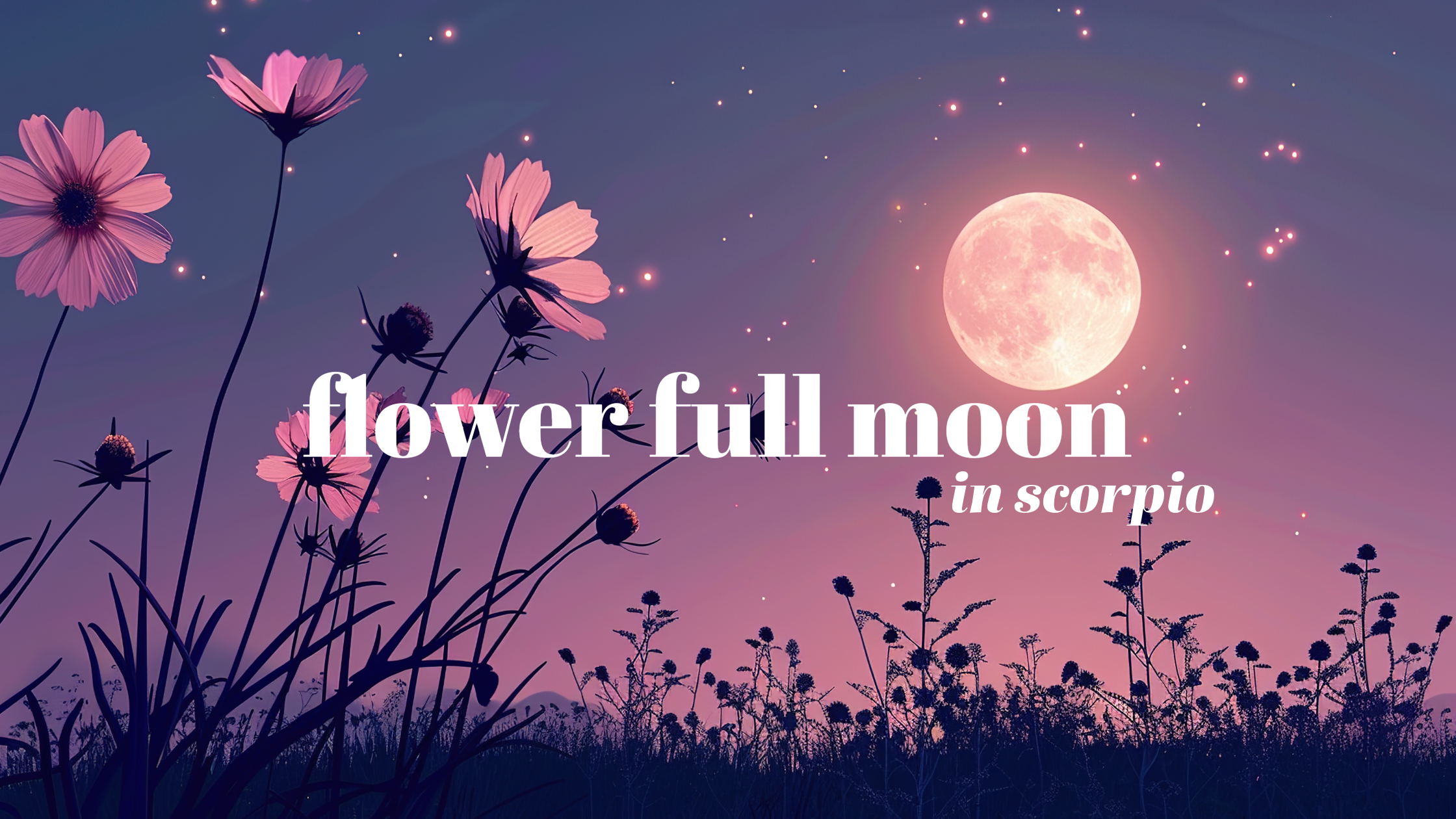Flower Full Moon in Scorpio