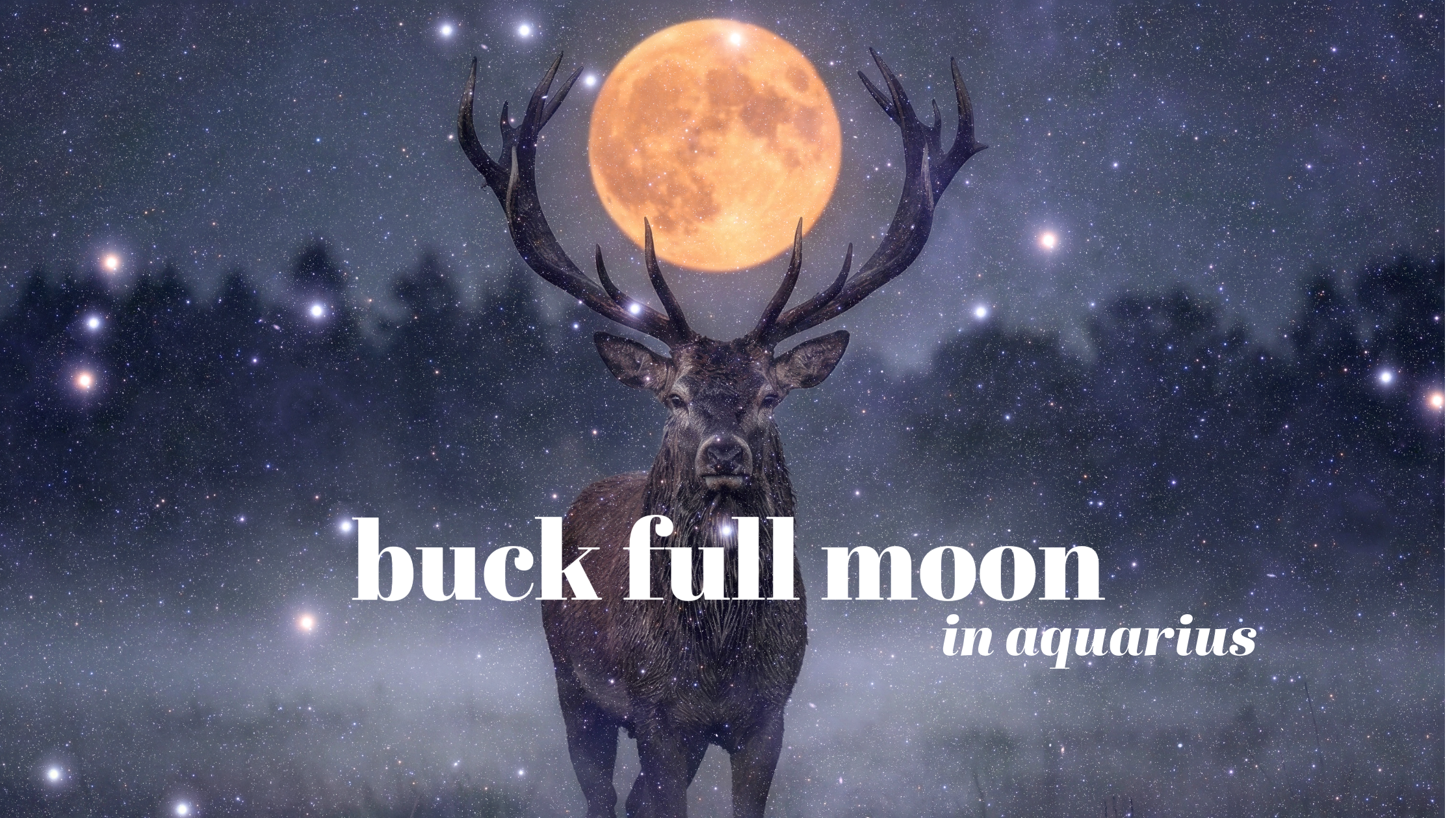 Full Moon in Aquarius