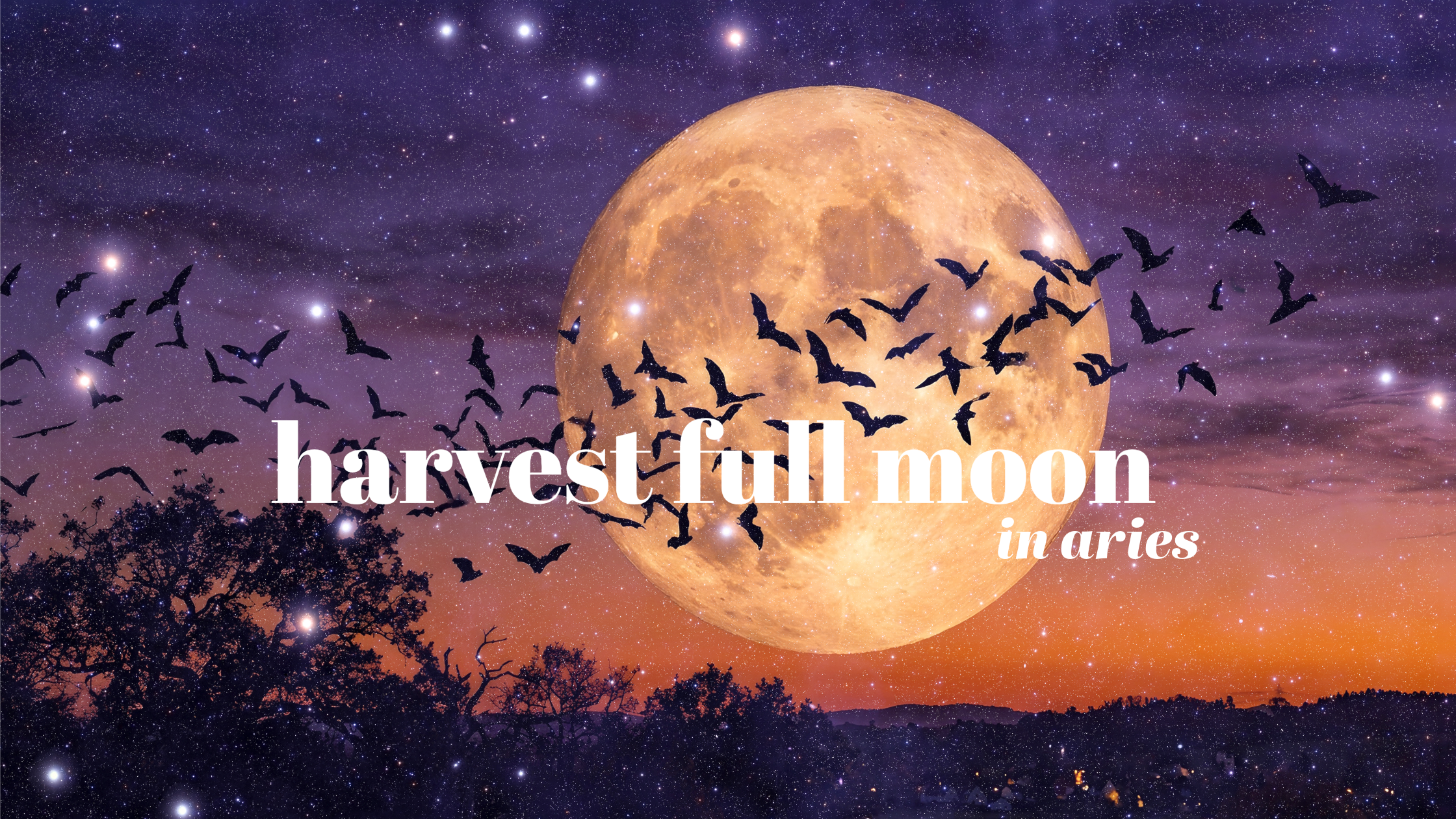 Full Moon in Aries