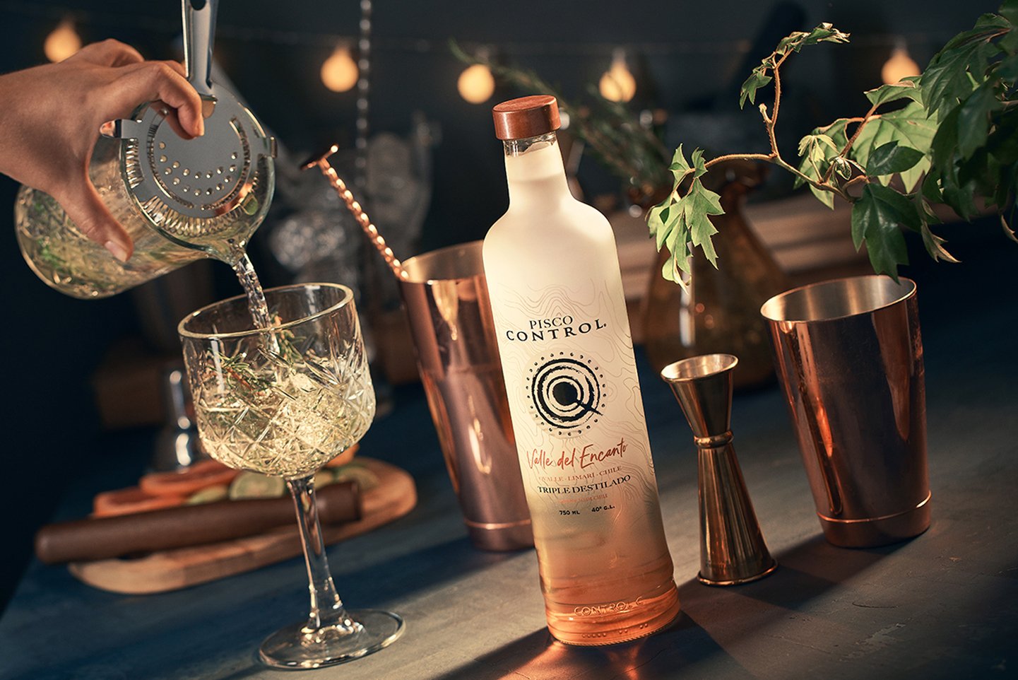 Brandy — CNI Brands