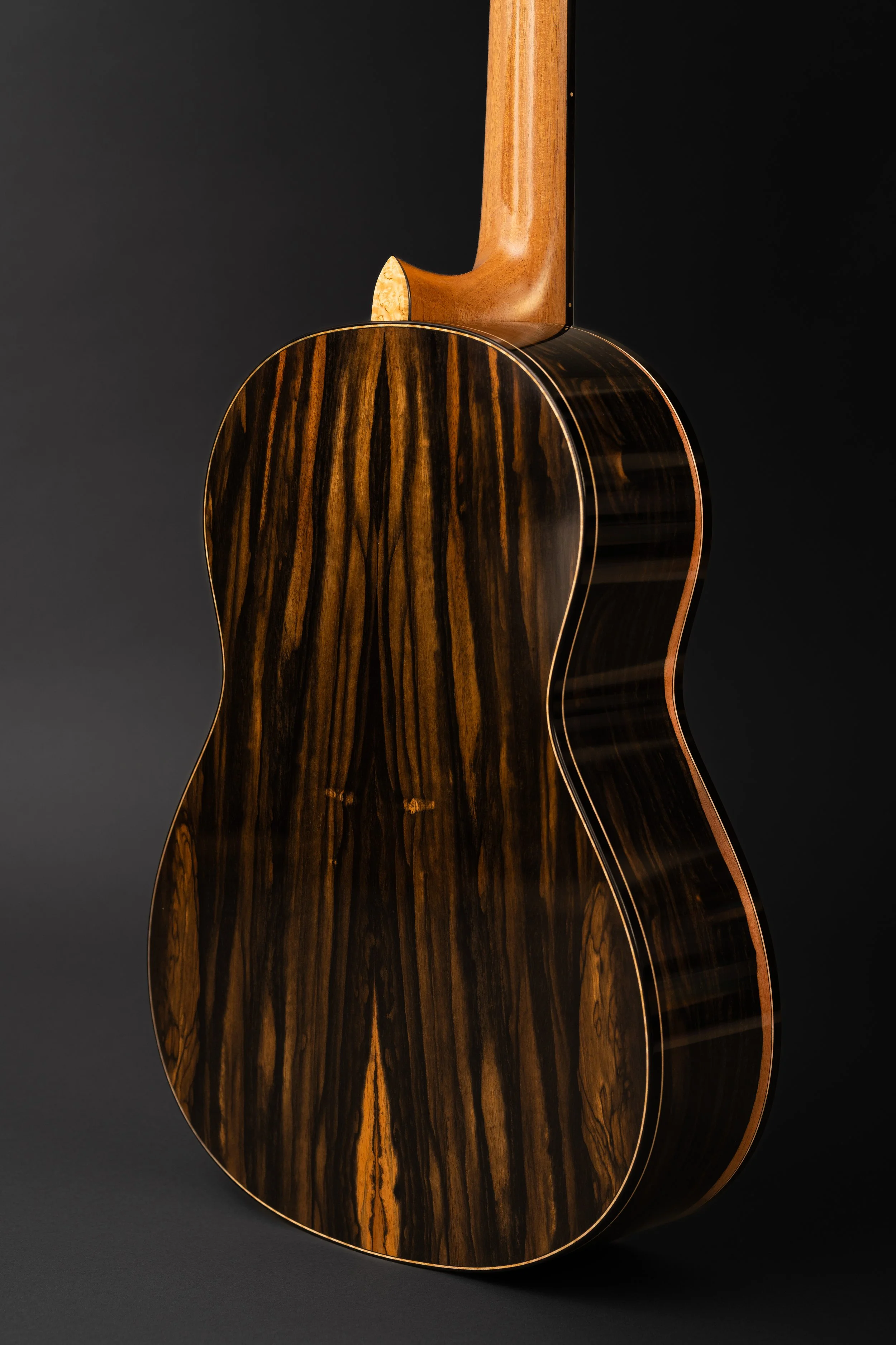 AndrewSmithGuitarsEbony2.jpg