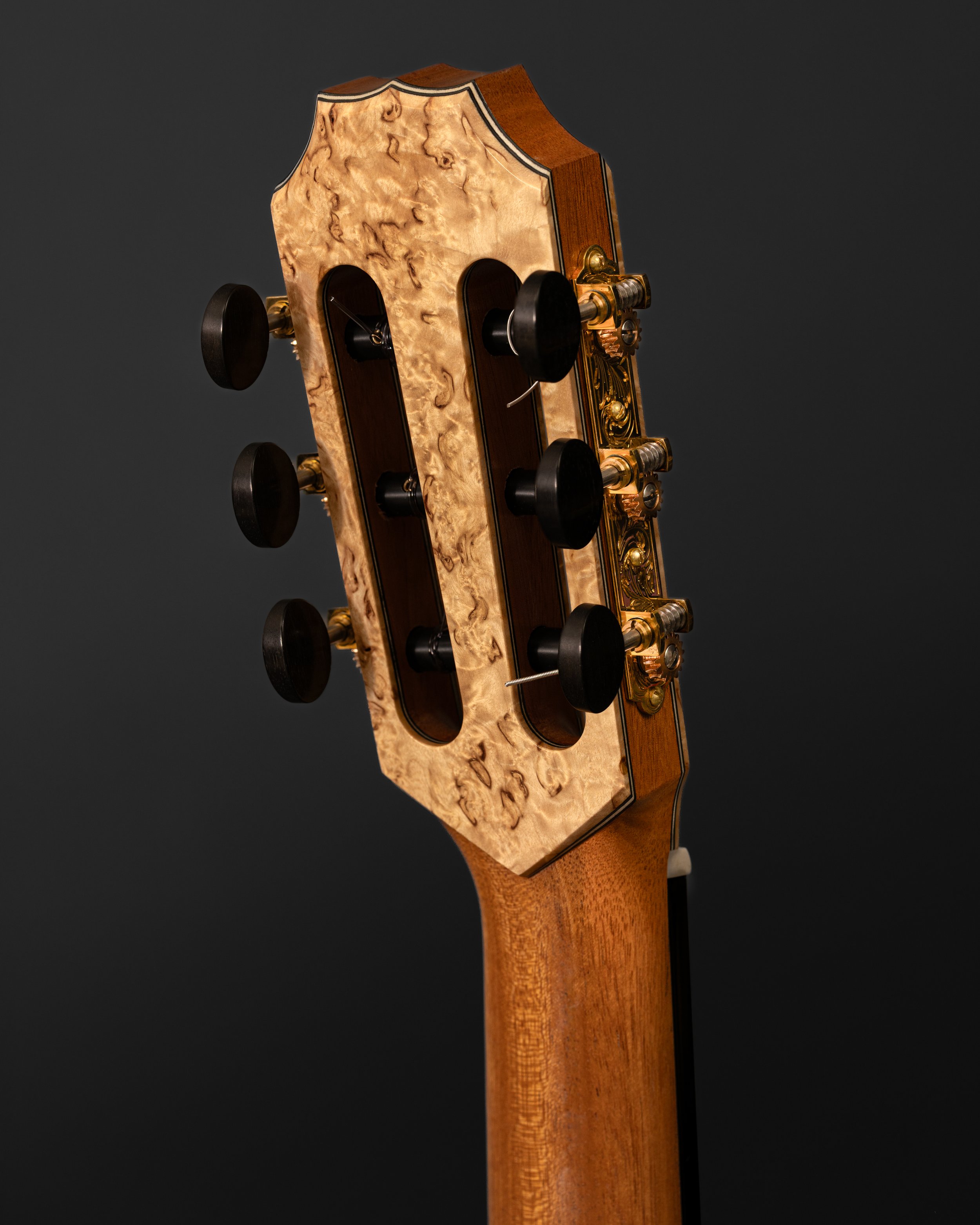 MapleCedar2026-15-2.jpg