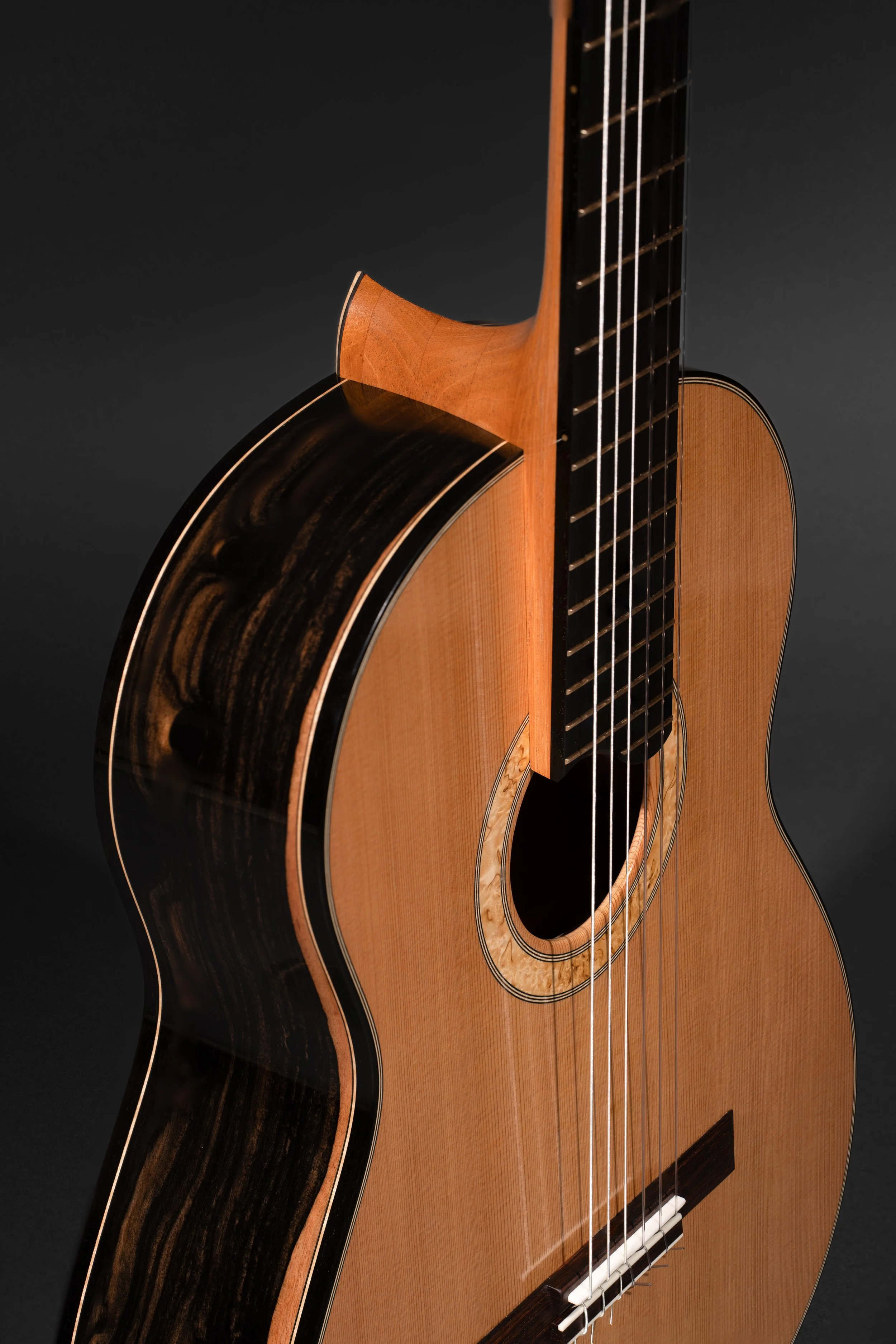 AndrewSmithGuitarsEbony16.jpg