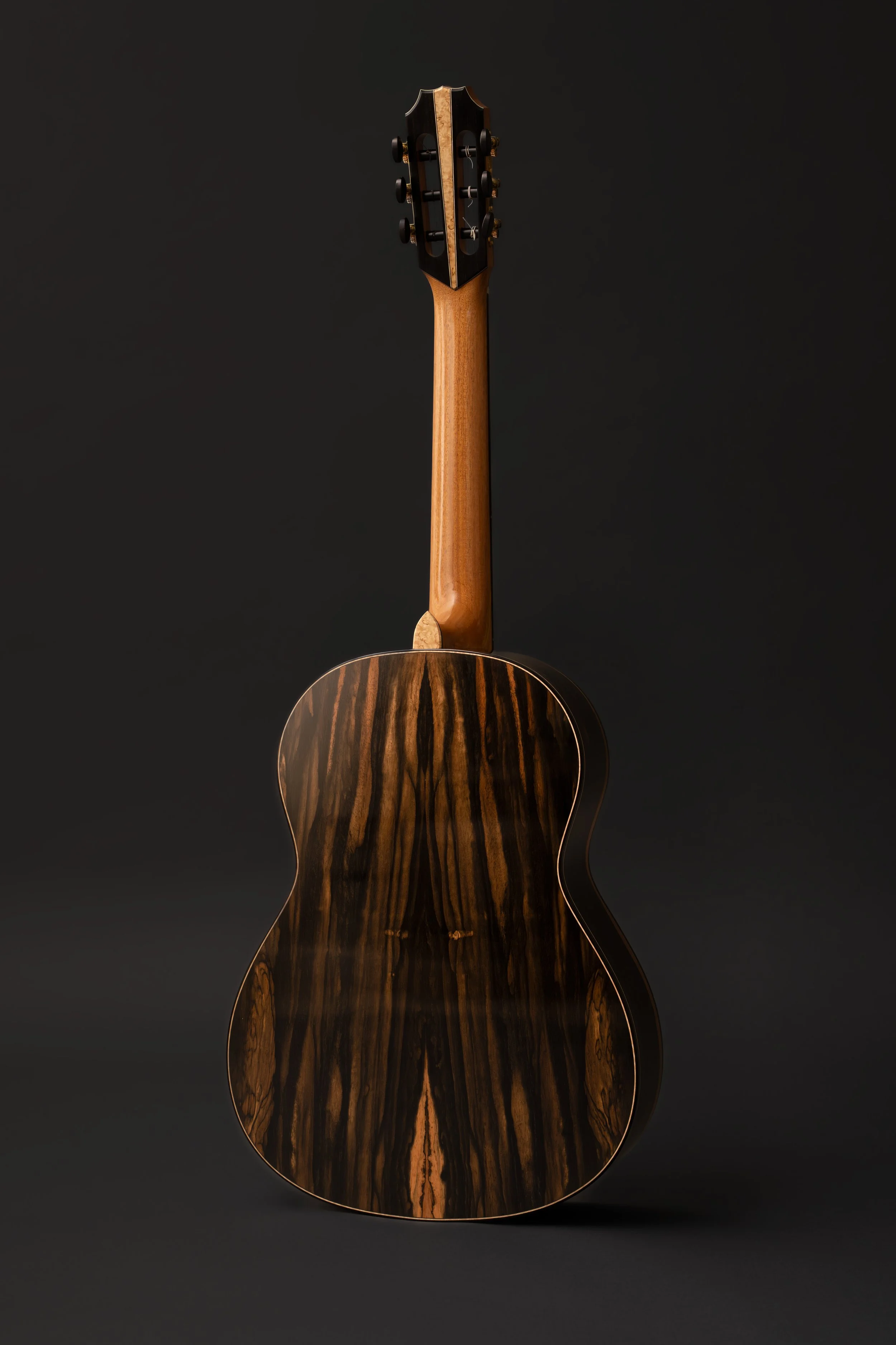 AndrewSmithGuitarsEbony11.jpg