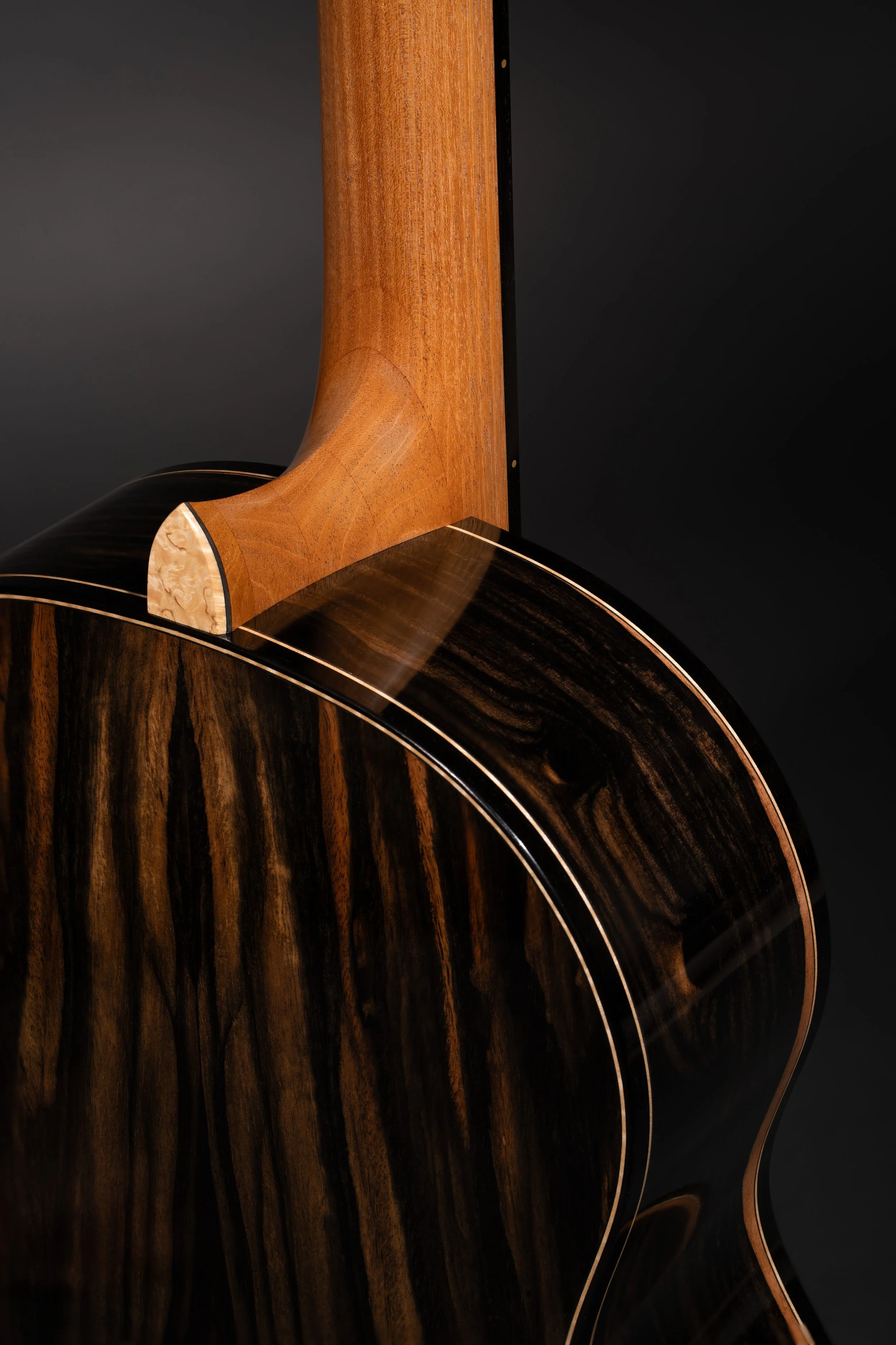 AndrewSmithGuitarsEbony18.jpg