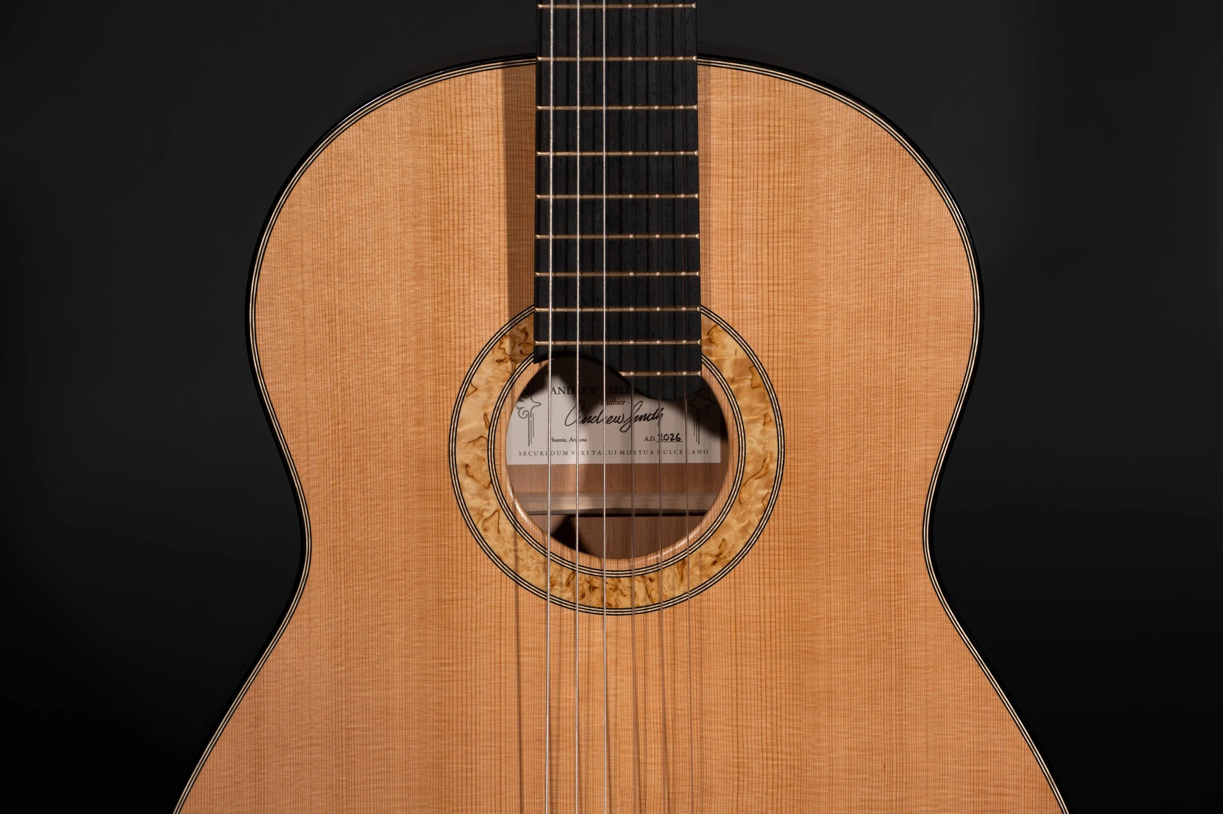 AndrewSmithGuitarsEbony20.jpg