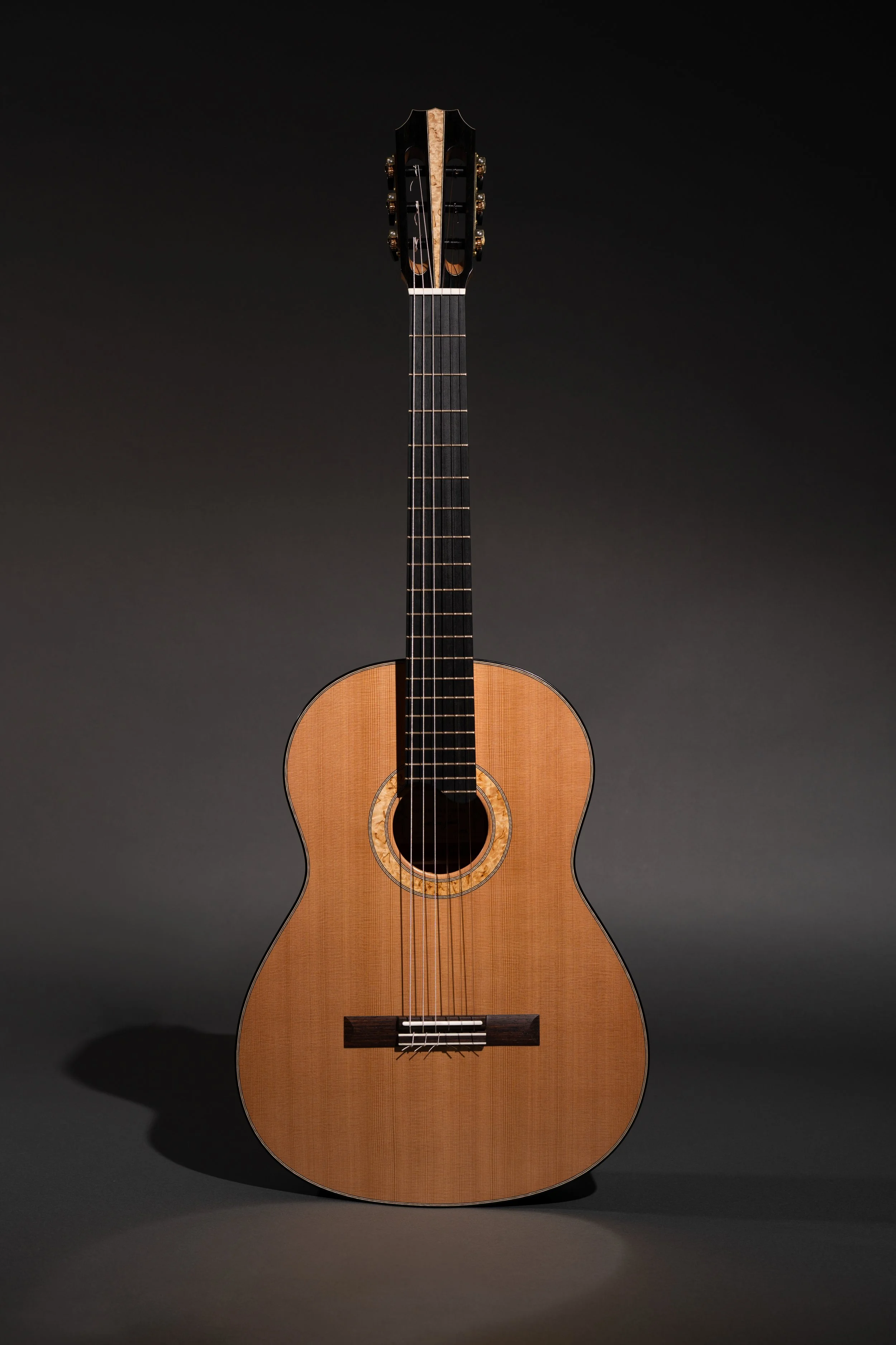 AndrewSmithGuitarsEbony22.jpg