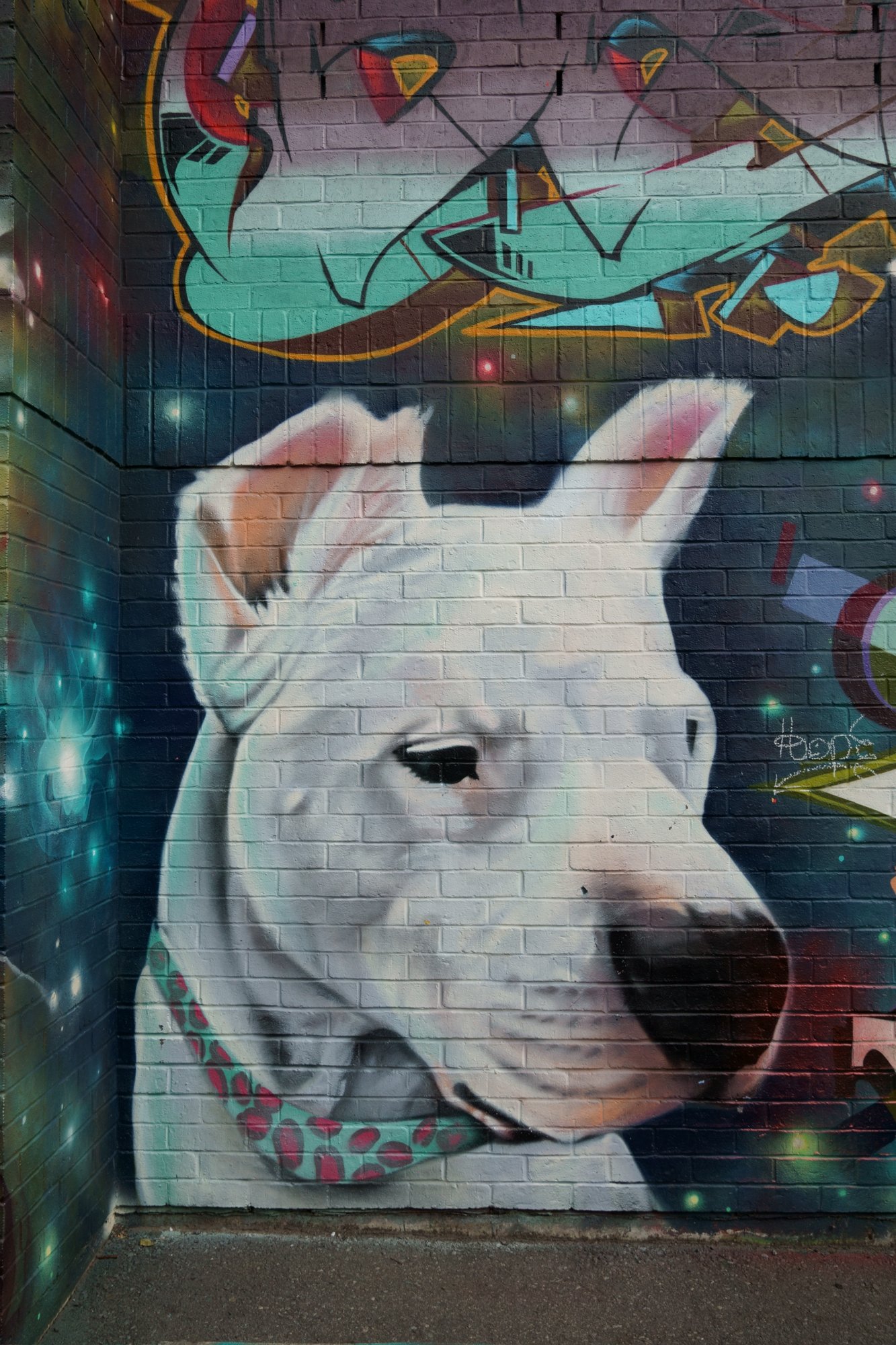 Dog, Pitbull Graffiti at Kensington Market, Toronto, Ontario, Canada