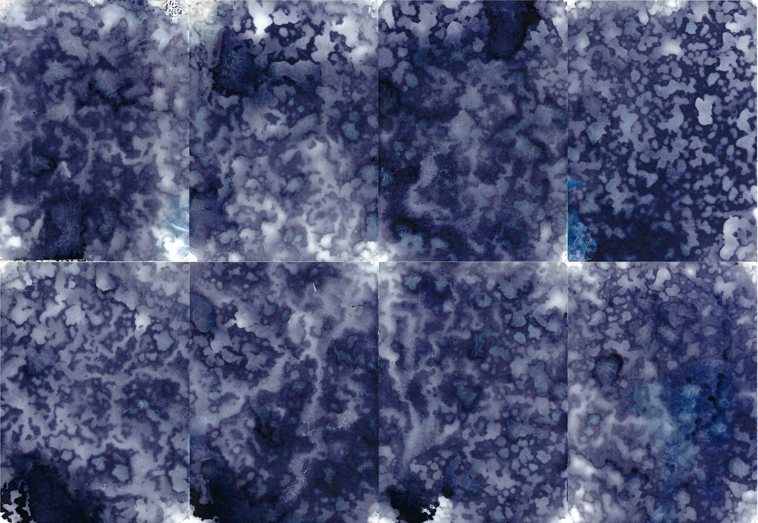 Studio Rain, Cyanotype on Yupo
