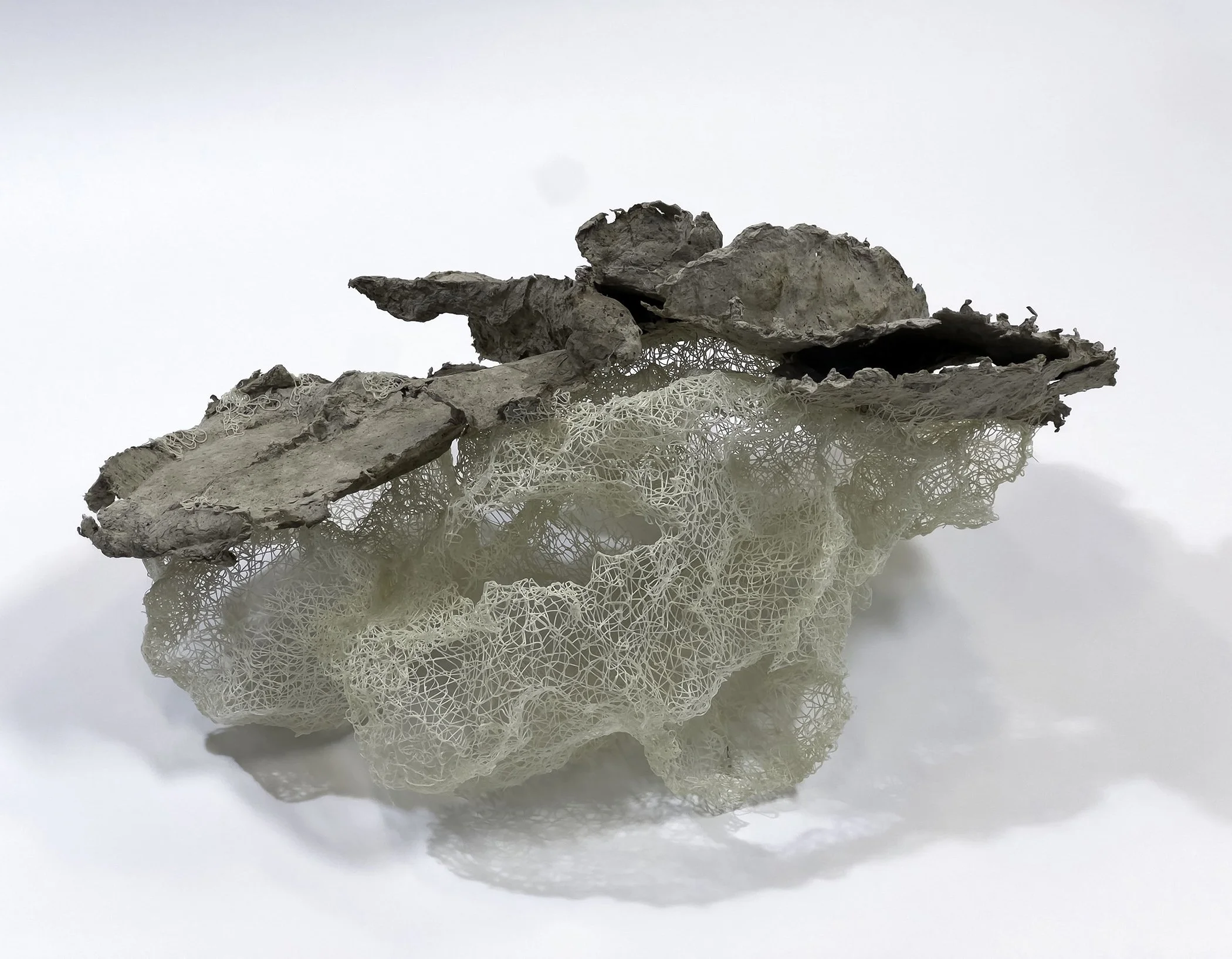 Fruiting, Mixed Media (Bioplastic & Papier-mâché), 2025