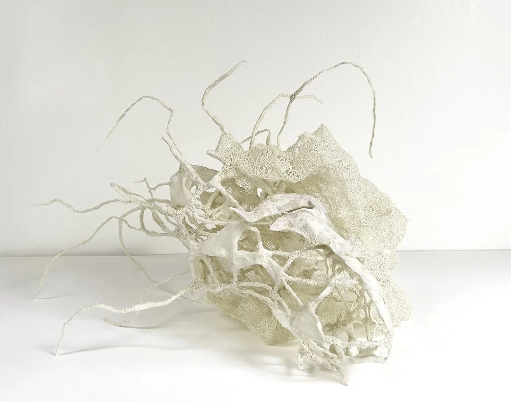 Emerging, Mixed Media (Bioplastic & Papier-mâché), 2025