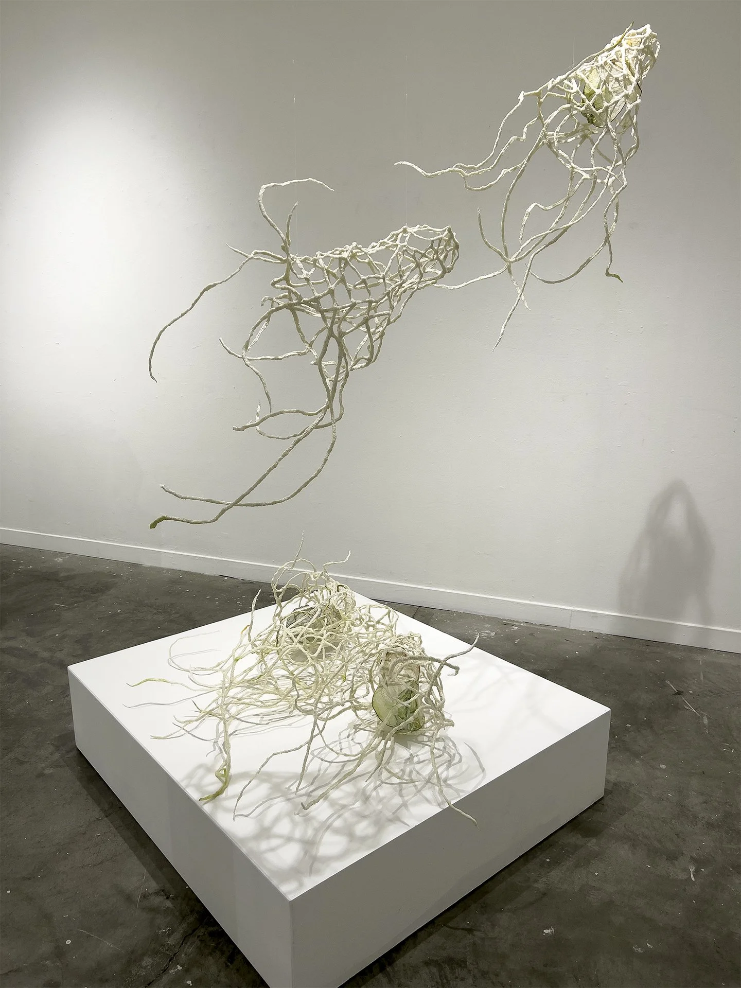 Entangling at Gallery Route One, Mixed Media, (Bioplastic & Papier-mâché), 2026.