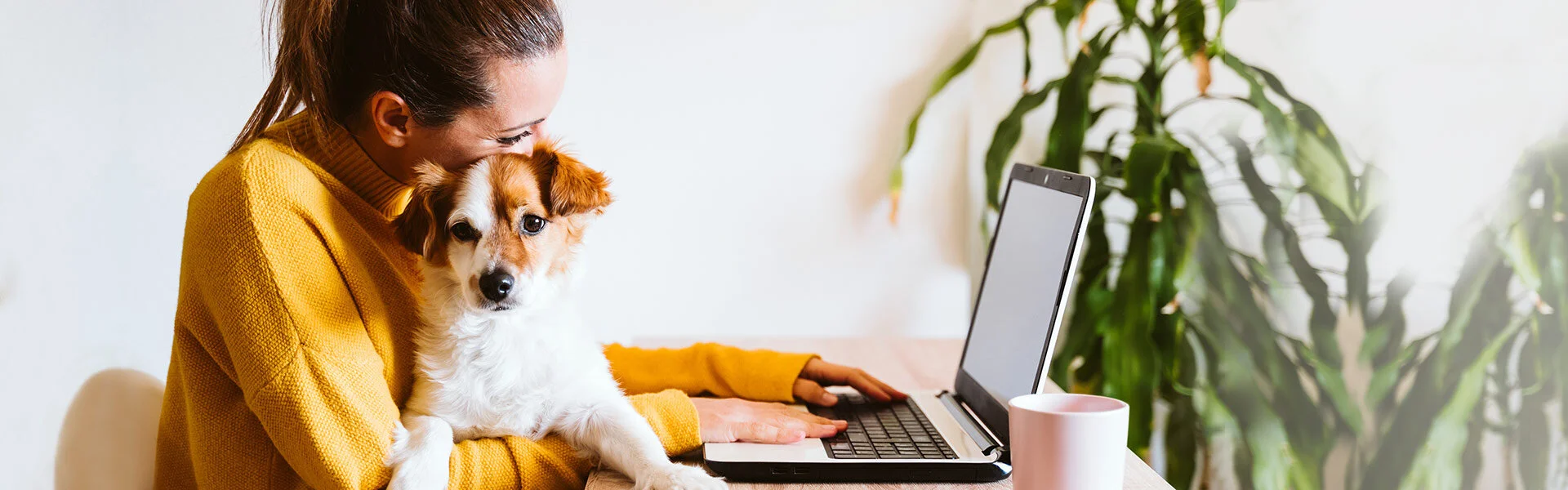 Telehealth In Long Valley California