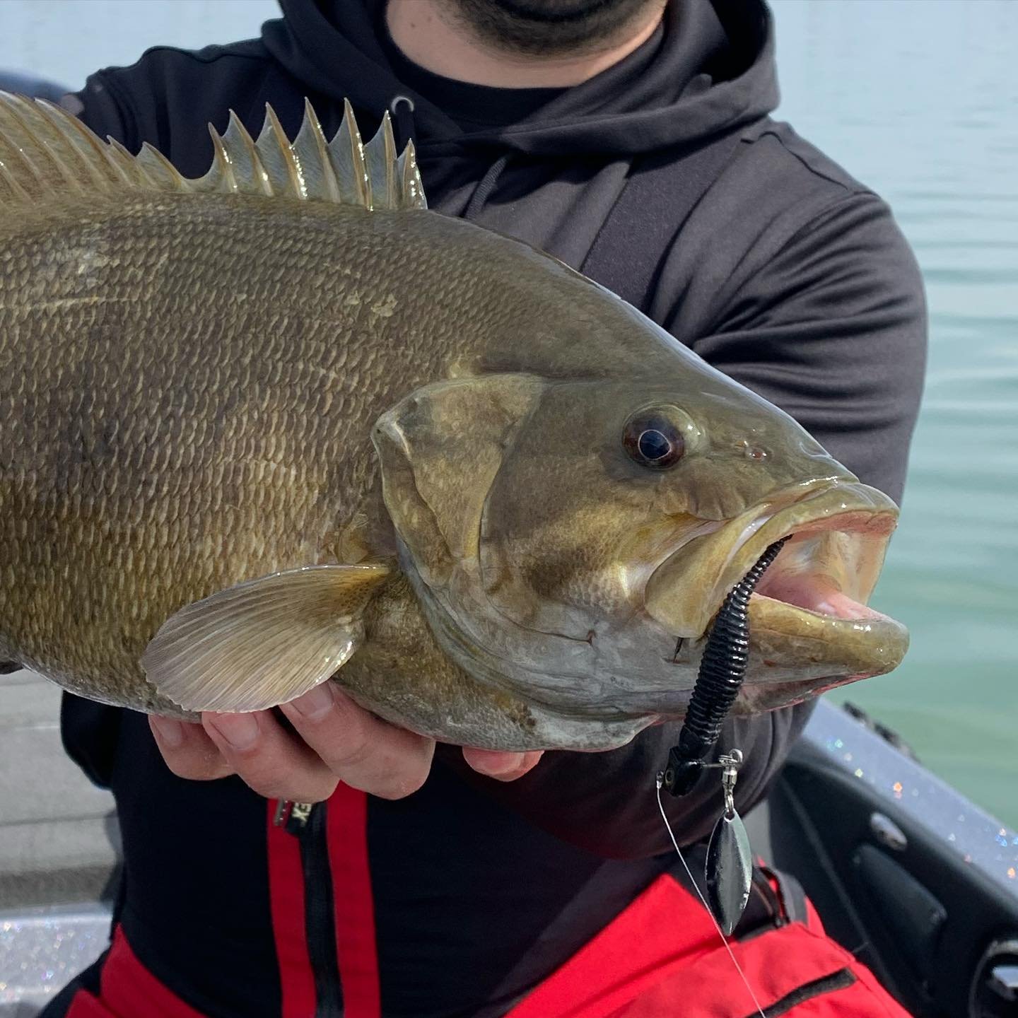 Pre-spawn season is now here in the north! Hard to beat a Sneaky Underspin with a Drop Minnow trailer in these colder water temps. Cast it way out and slow roll this bait as slow as you possibly can at this time of year while keeping it off bottom. 
