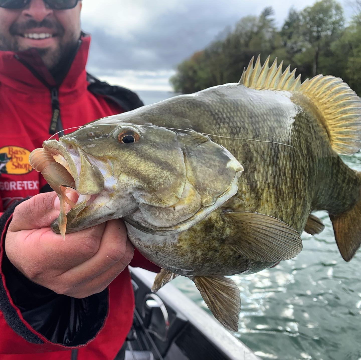😳Have you tried dead sticking a 2.5&rdquo; Juvy Craw tube? You should! 

Bait: 2.5&rdquo; Juvy Craw (motor oil) with a 3/16oz Mini Pro Tube Head insert. 

Buy at Lurenet.com (@lurenetfishing) or from our select retailer partners. 

#greatlakesfiness