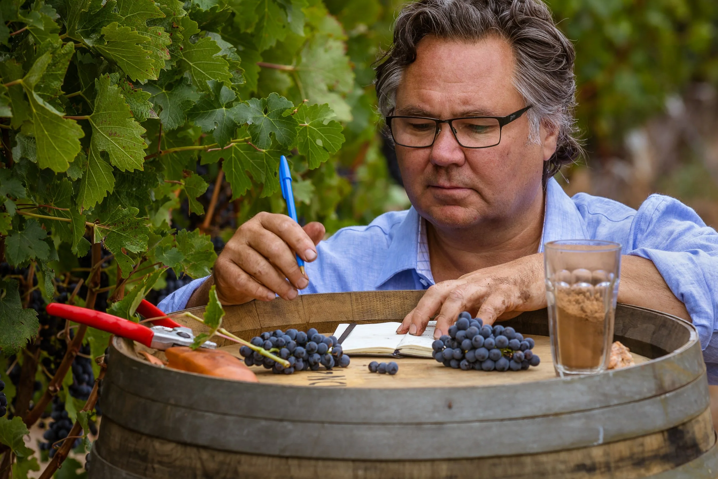 190218-36.Bruce Dukes contenplating Cabernet vines, fruit and soil.jpg