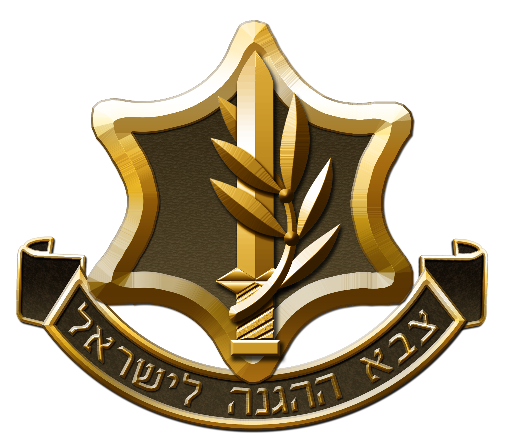 Israel Defense Forces 