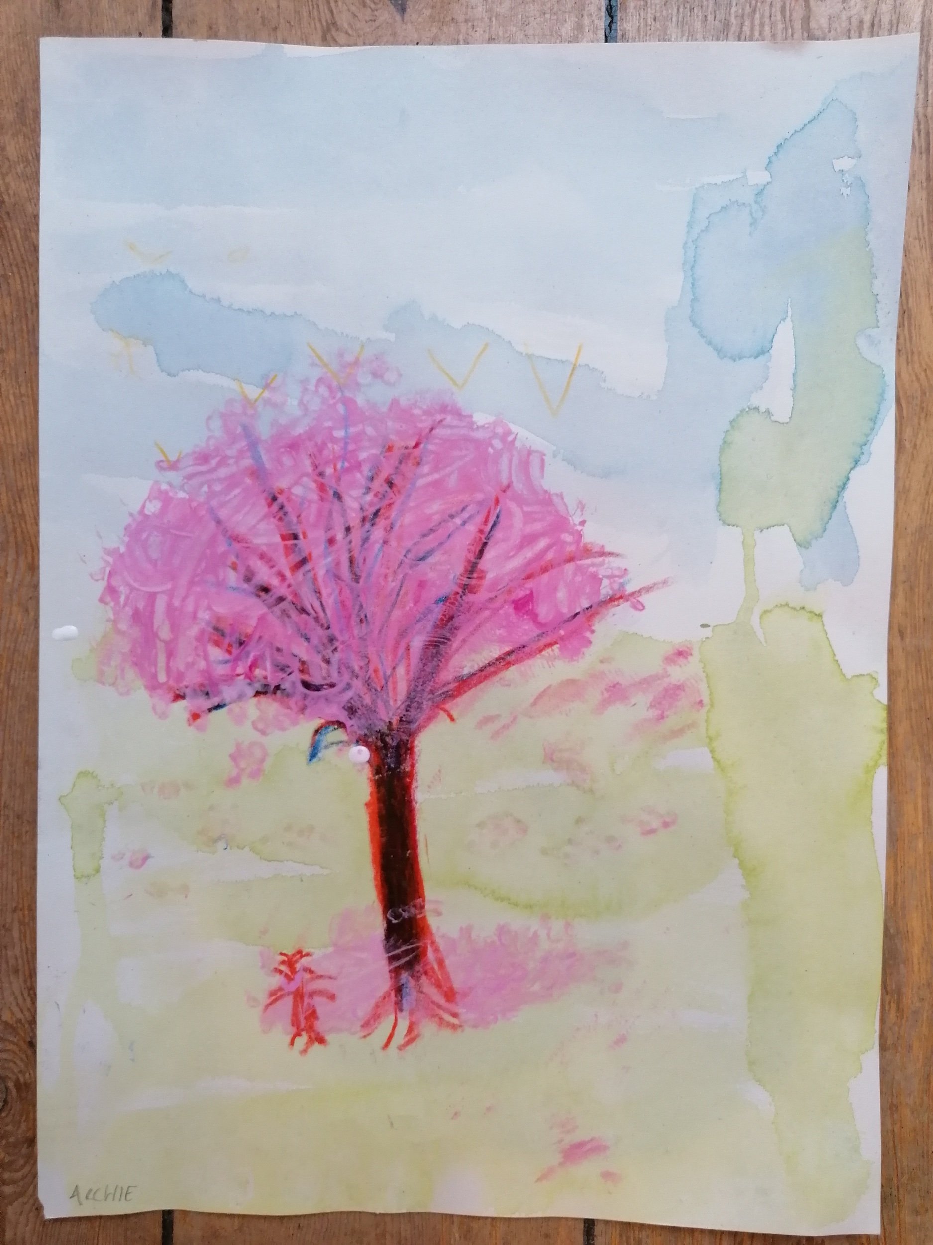 Dear Elmfield Families - 17.2.22