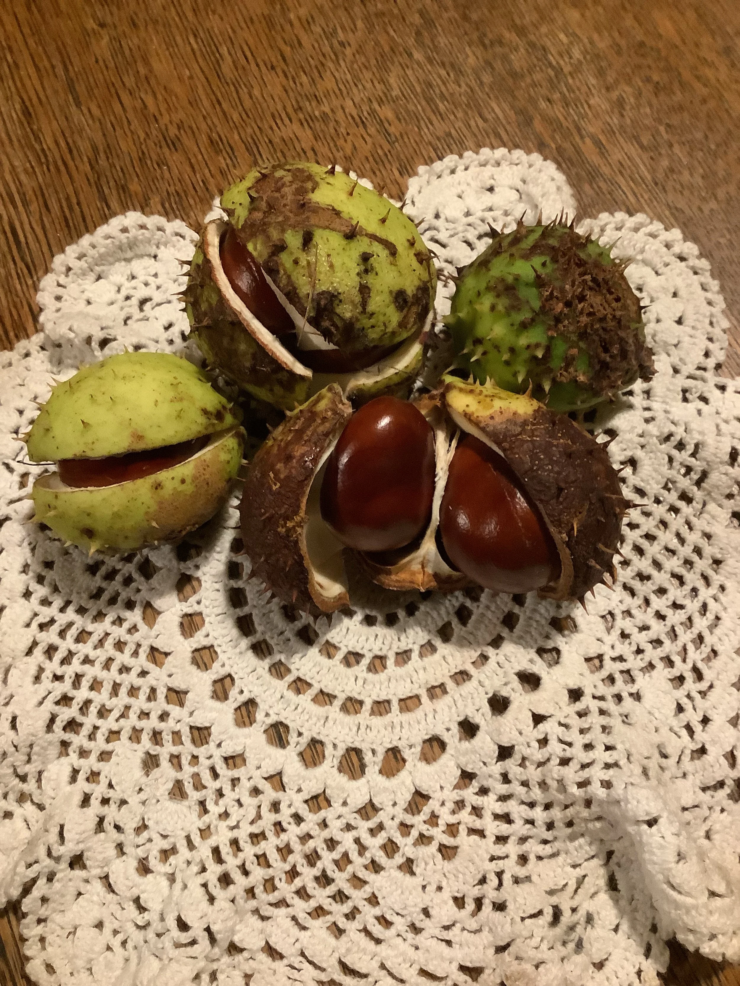 Dear Elmfield Families - 22.9.23