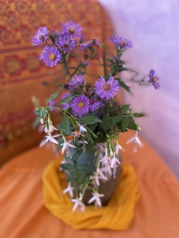 Dear Elmfield Families - 13.09.24