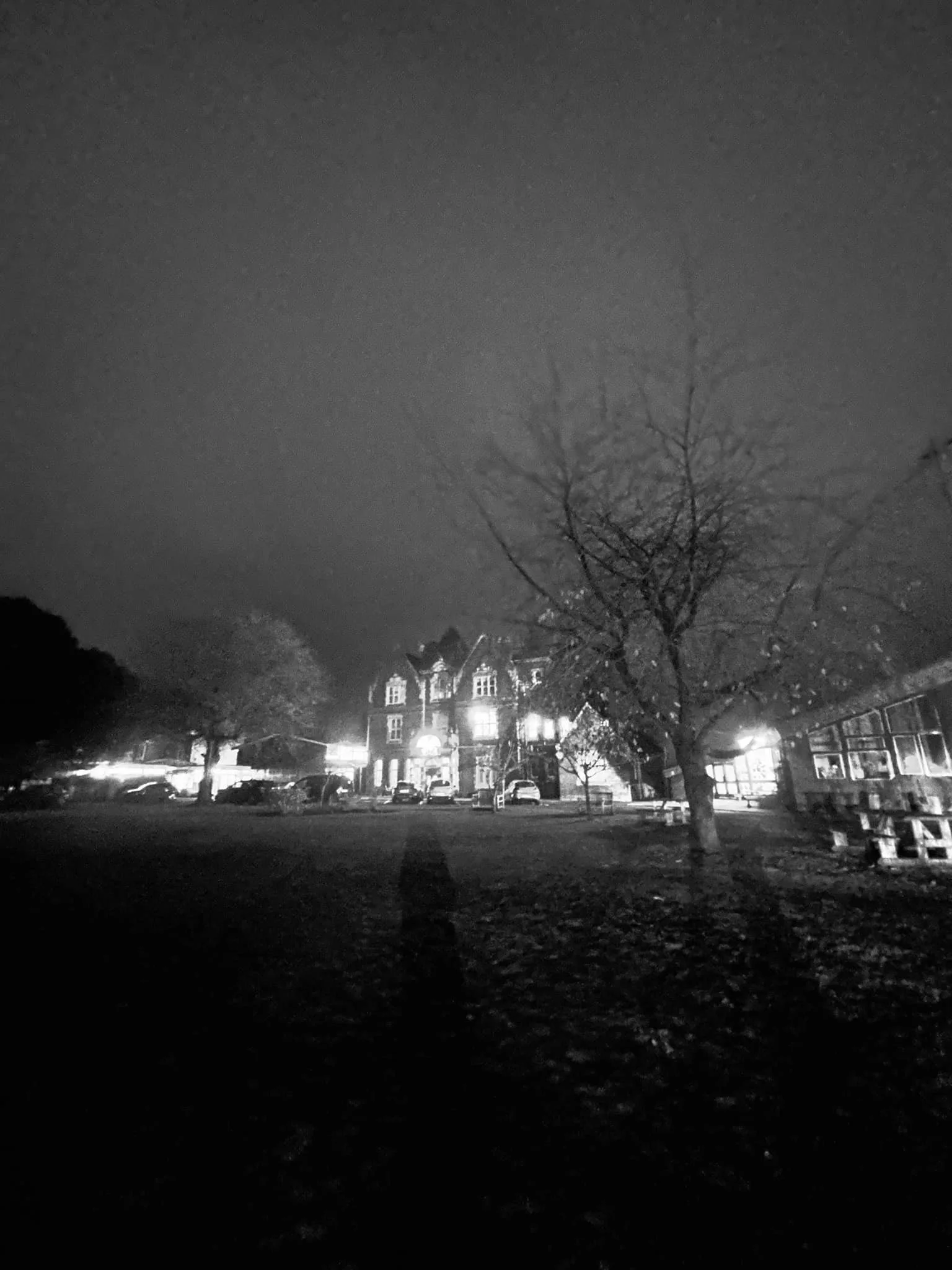 Dear Elmfield Families - 8.11.24