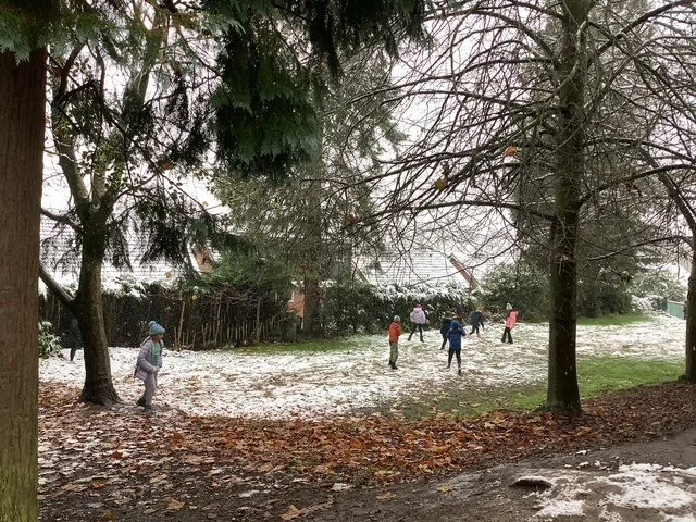 Dear Elmfield Families - 22.11.24