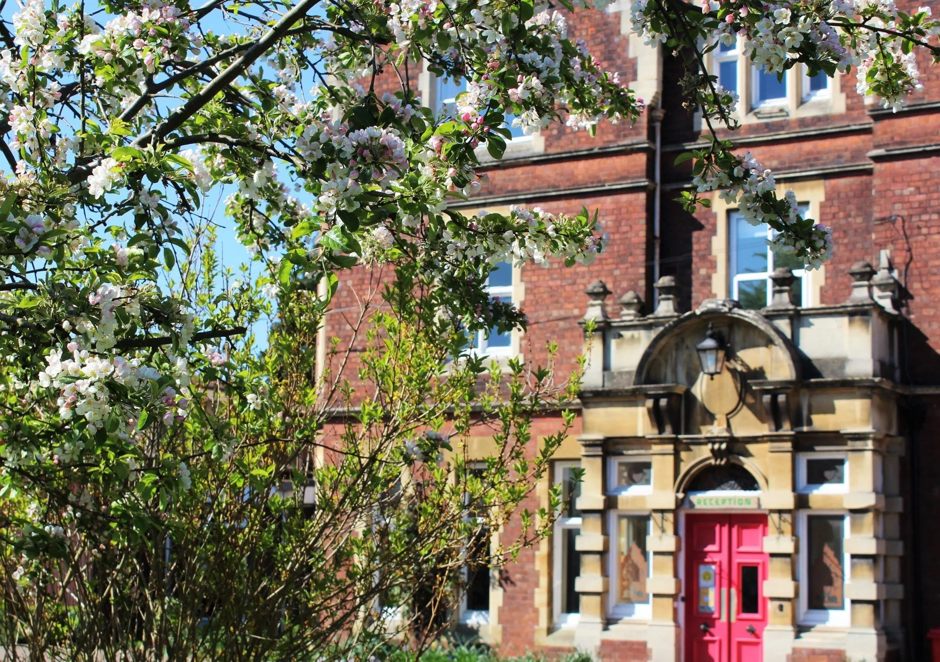 Dear Elmfield Families - 24.01.25