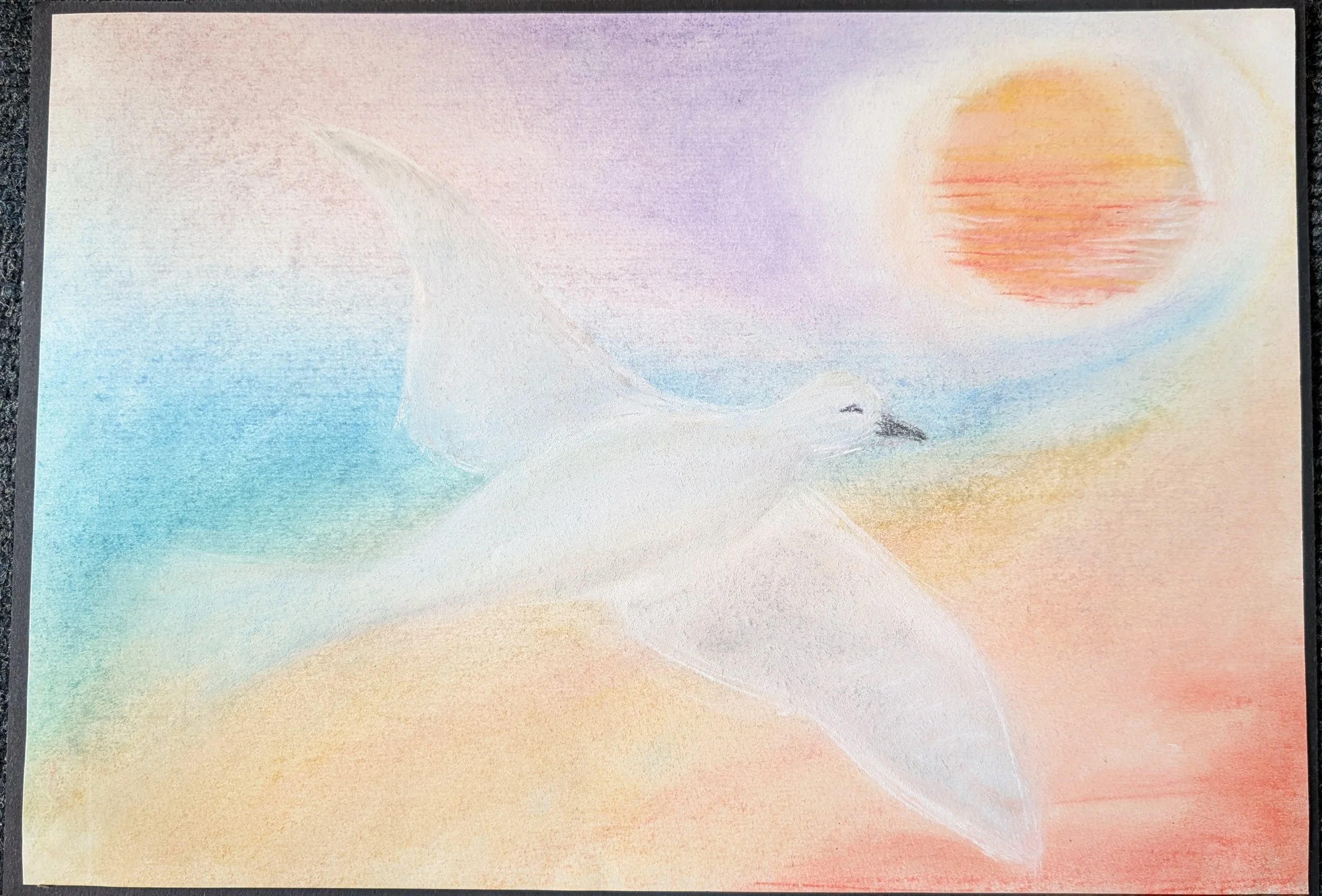 Dear Elmfield Families - 06.06.25