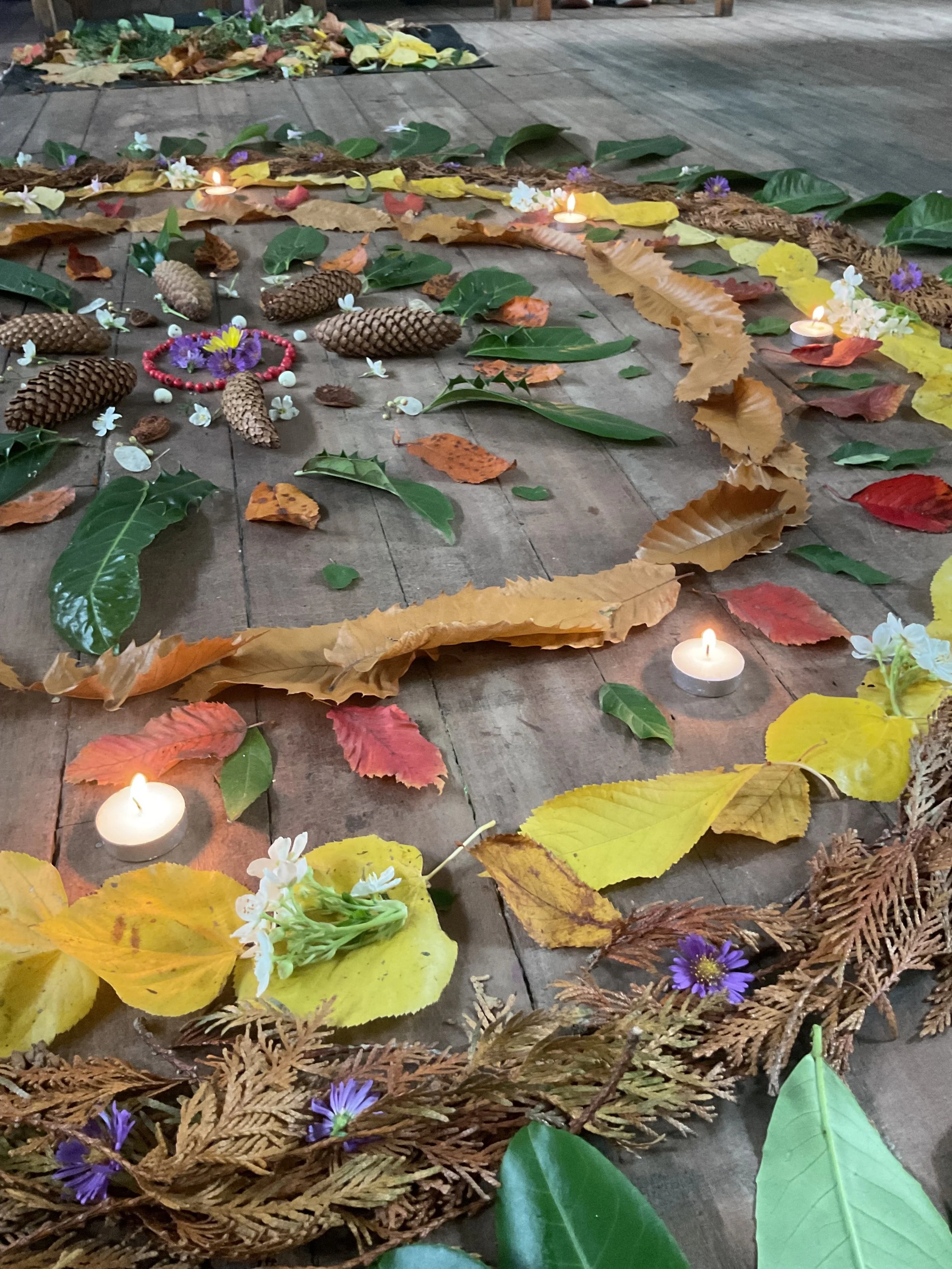 Dear Elmfield Families - 17.10.25