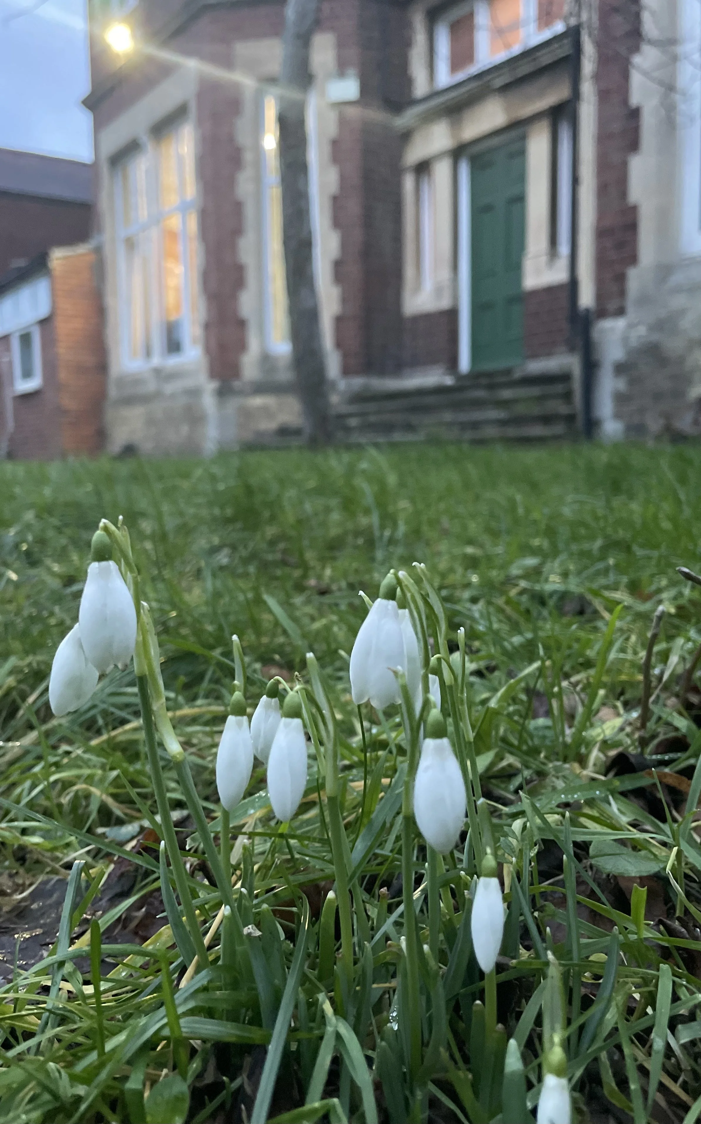 Dear Elmfield Families - 23.1.26