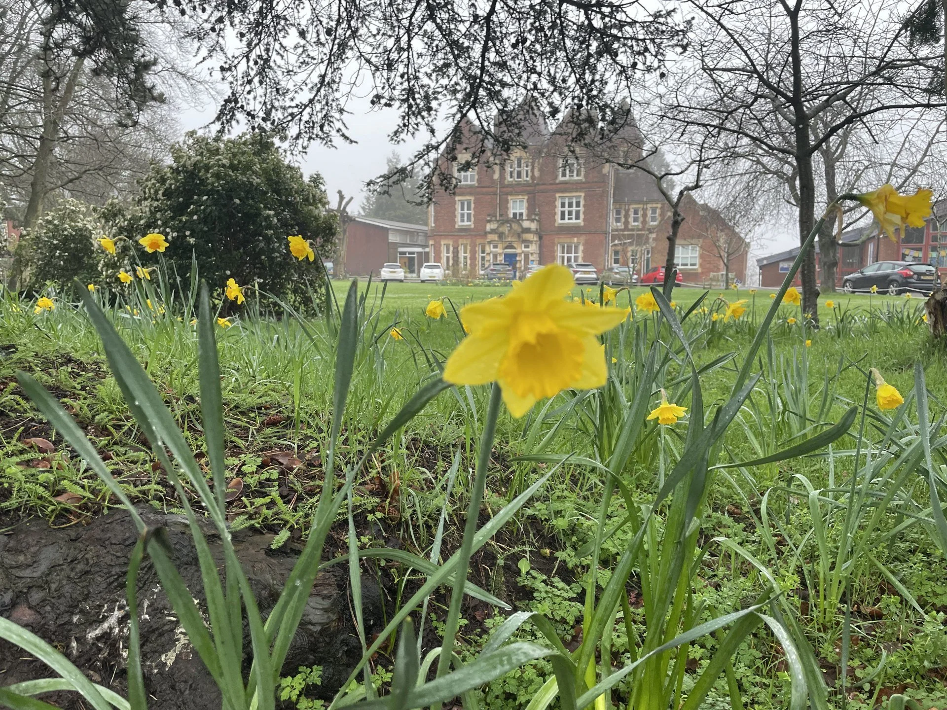 Dear Elmfield Families - 27.2.26