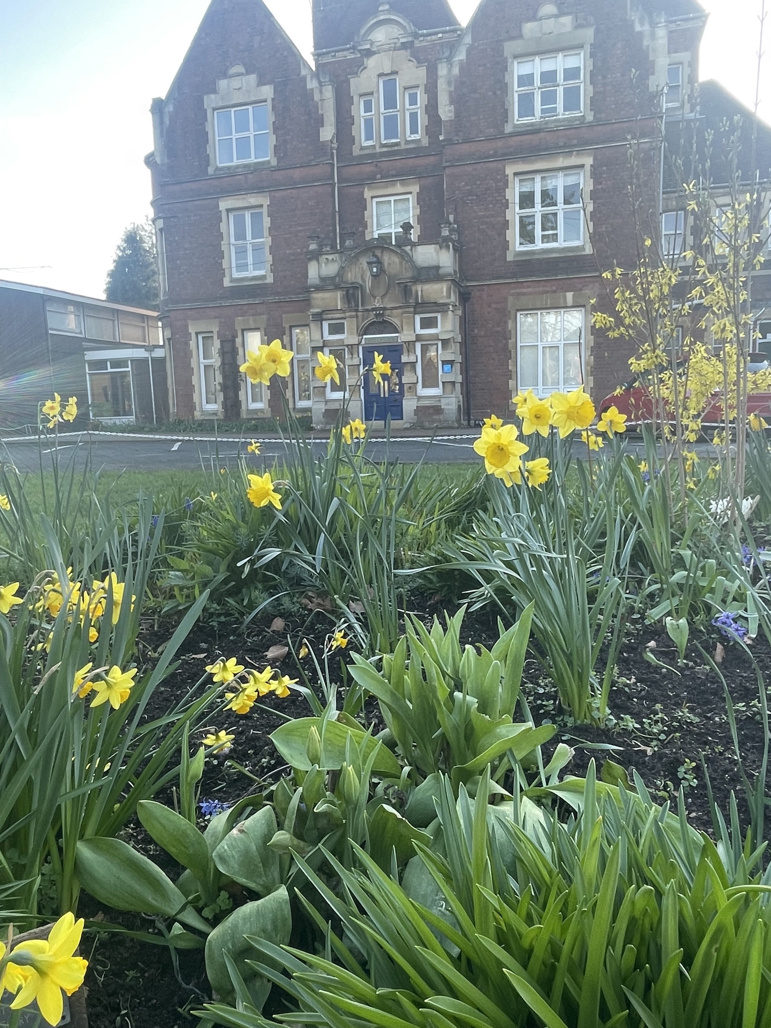 Dear Elmfield Families - 13.3.26