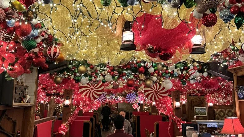 Hallmark Holiday Movie Fit for Raleigh