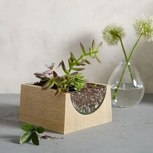 mitzie-wong-design-roar-and-rabbit-west-elm-angled-wood-terrarium-semi-circle.jpg