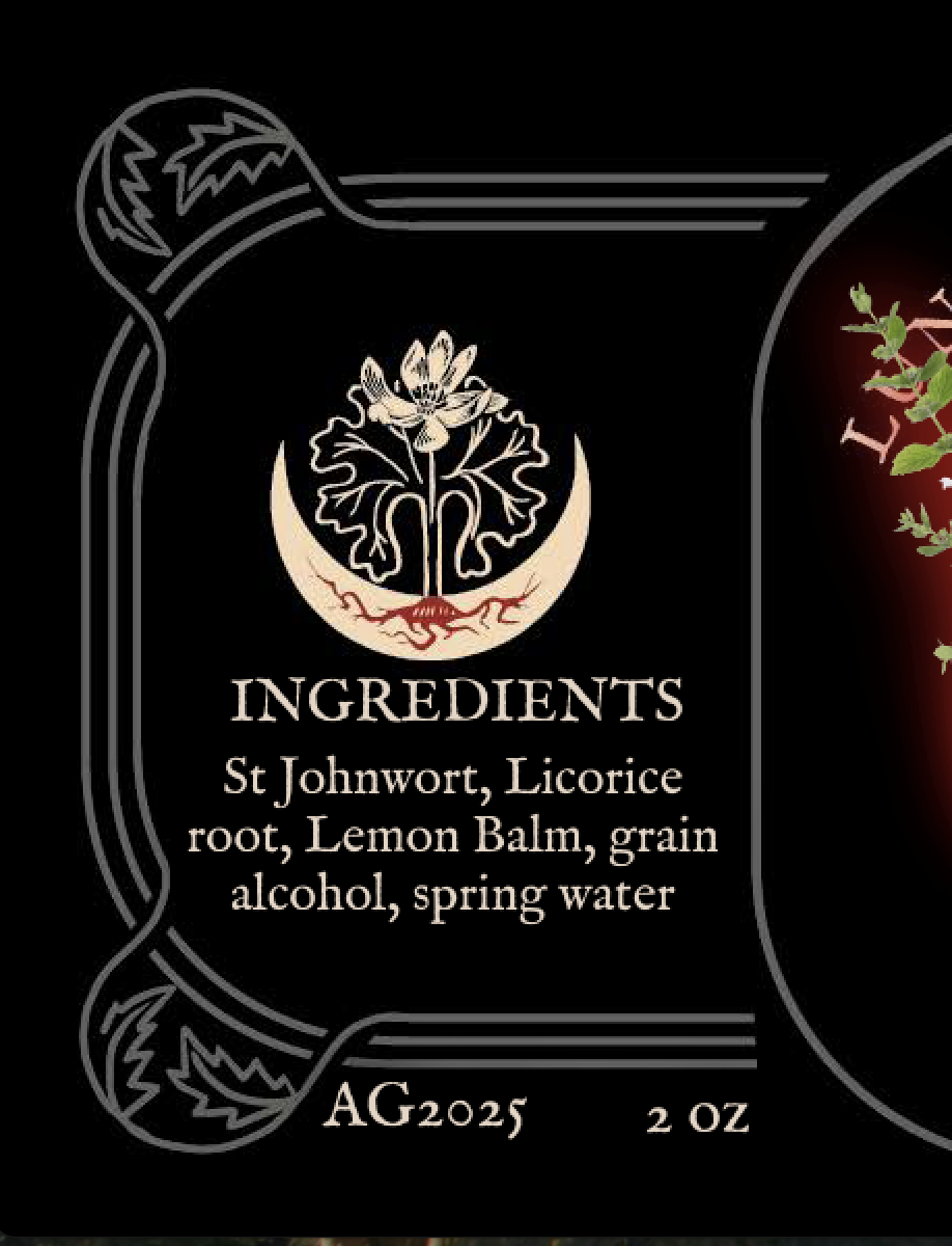 Screenshot 2025-12-02 at 4.21.13 PM.png