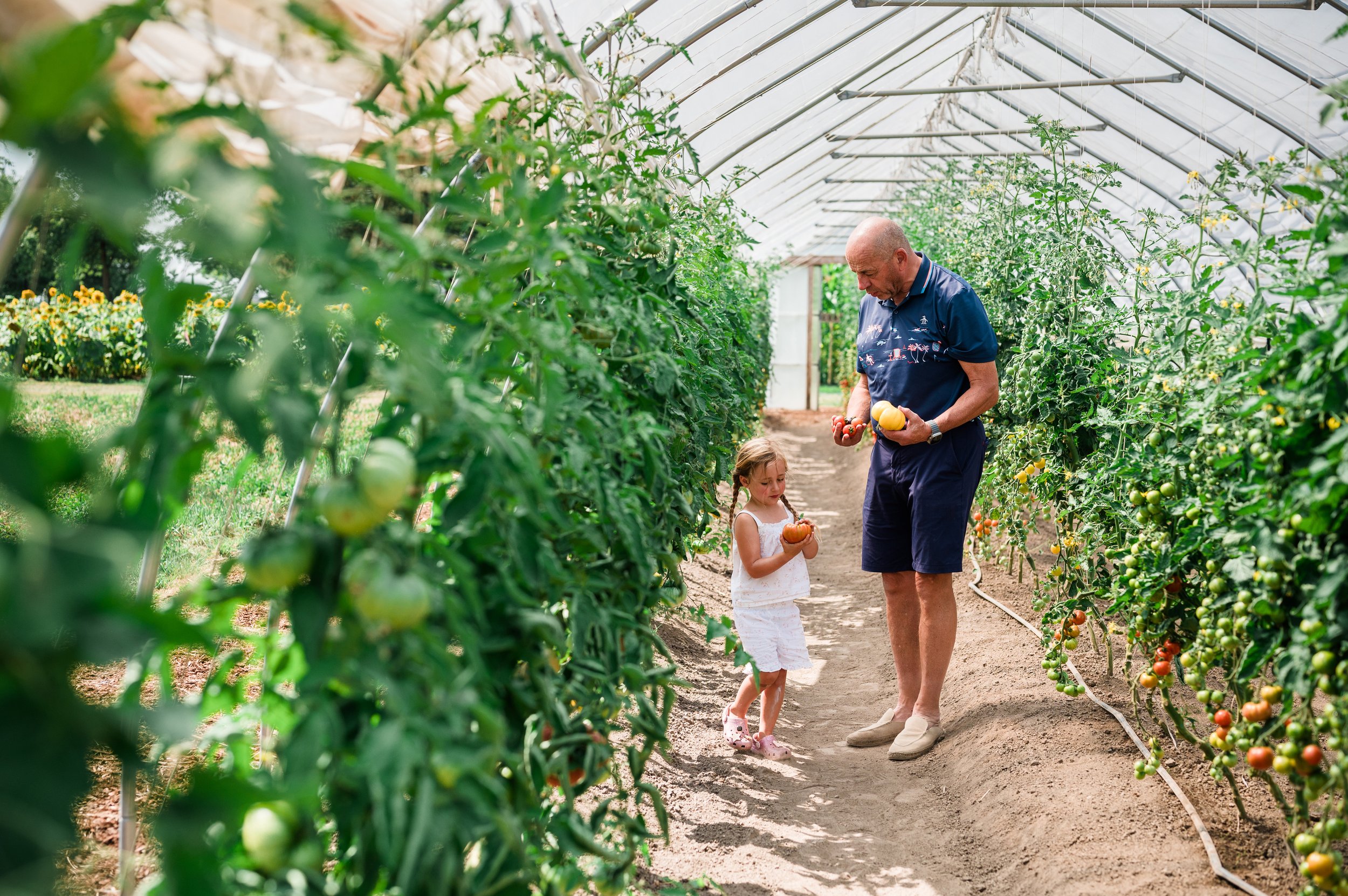 lifestyle-branding-farm-visit-father-daughter-tomato-patch-Yaletown-Photography-Vancouver-Photographer-photo