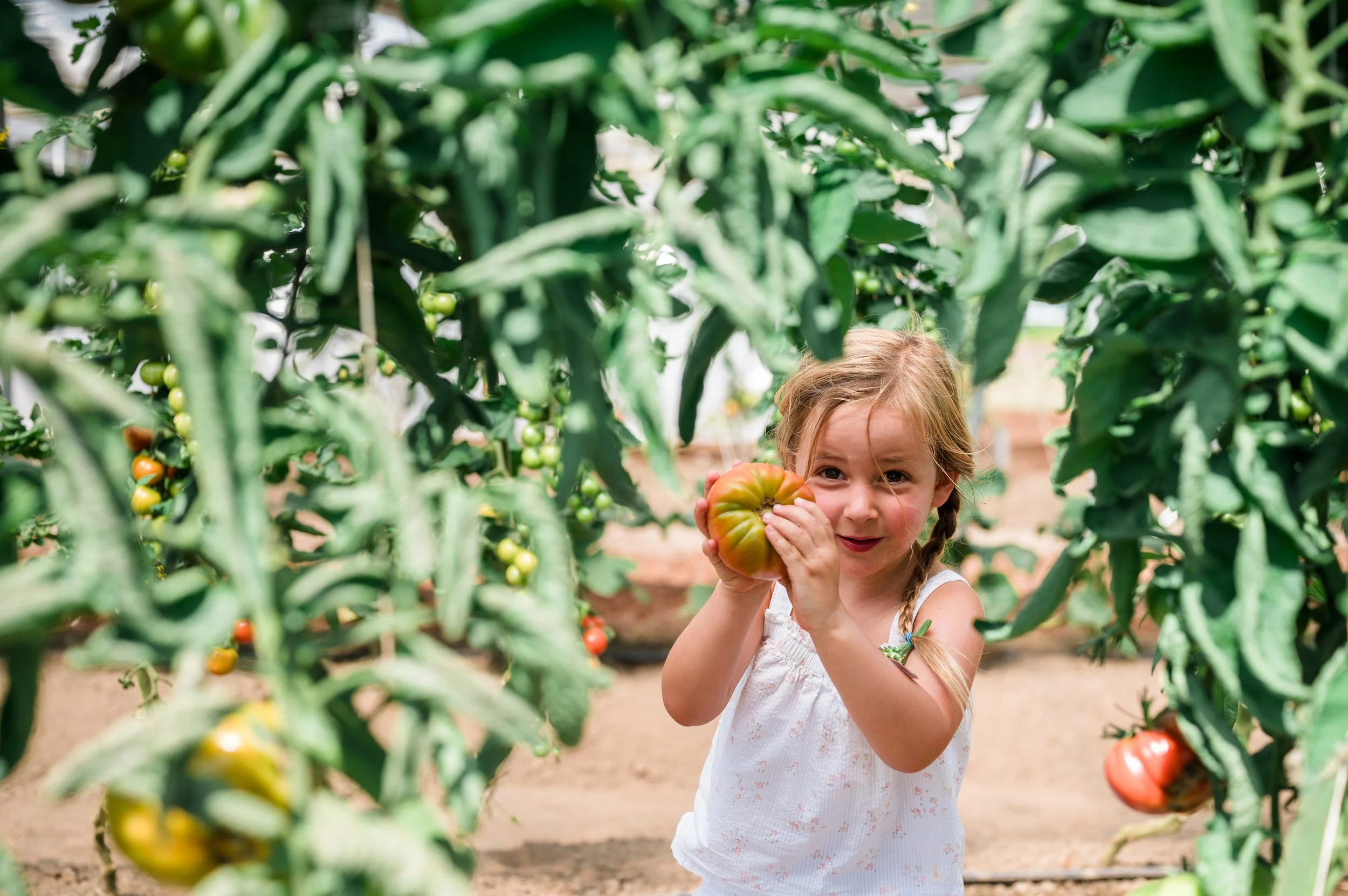 lifestyle-branding-farming-tour-girl-in-tomato-patch-Yaletown-Photography-Vancouver-Photographer-photo.jpg