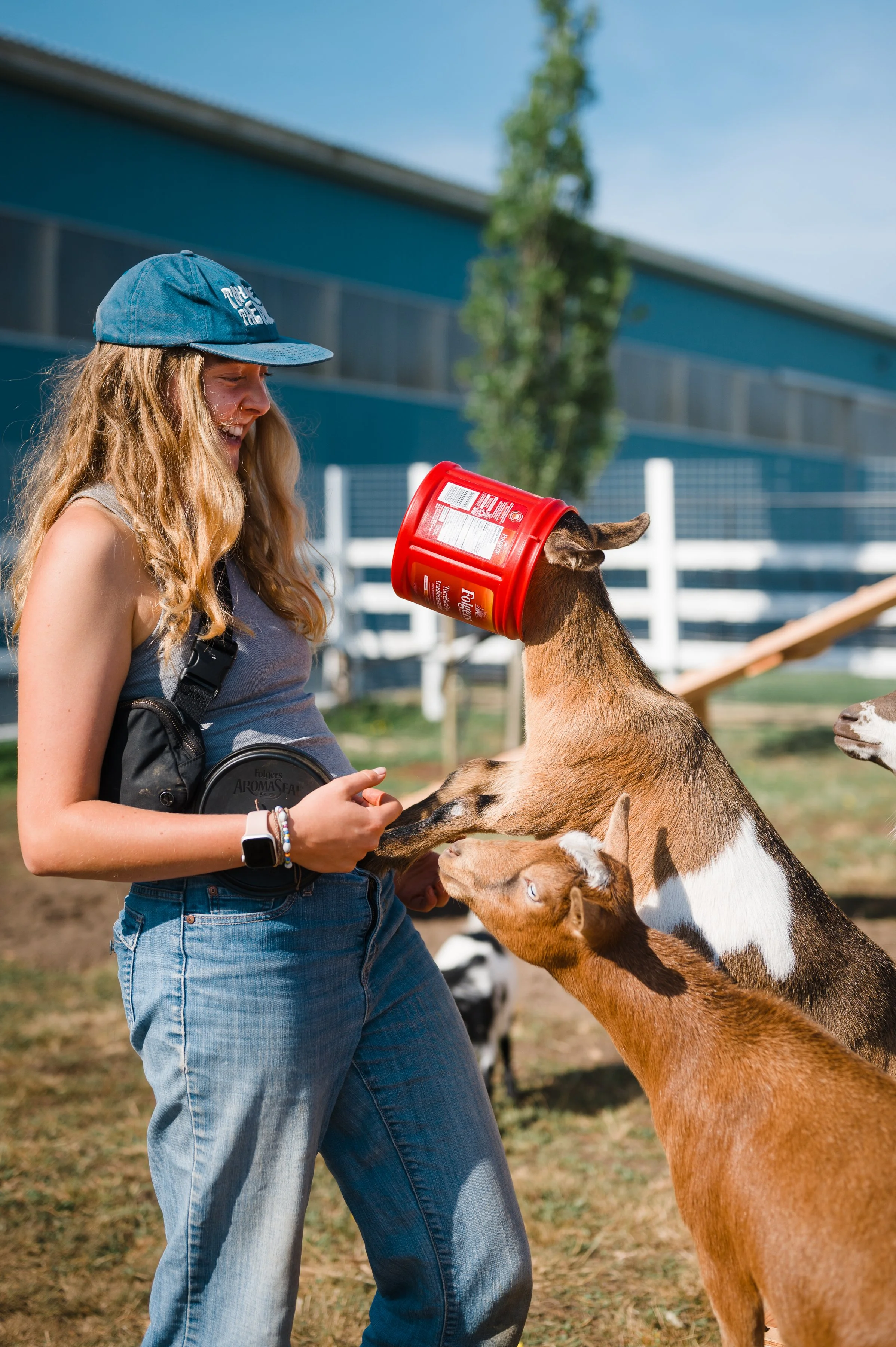 lifestyle-branding-farming-dwarf-goats-having-fun-petting-farm-Yaletown-Photography-Vancouver-Photographer-photo