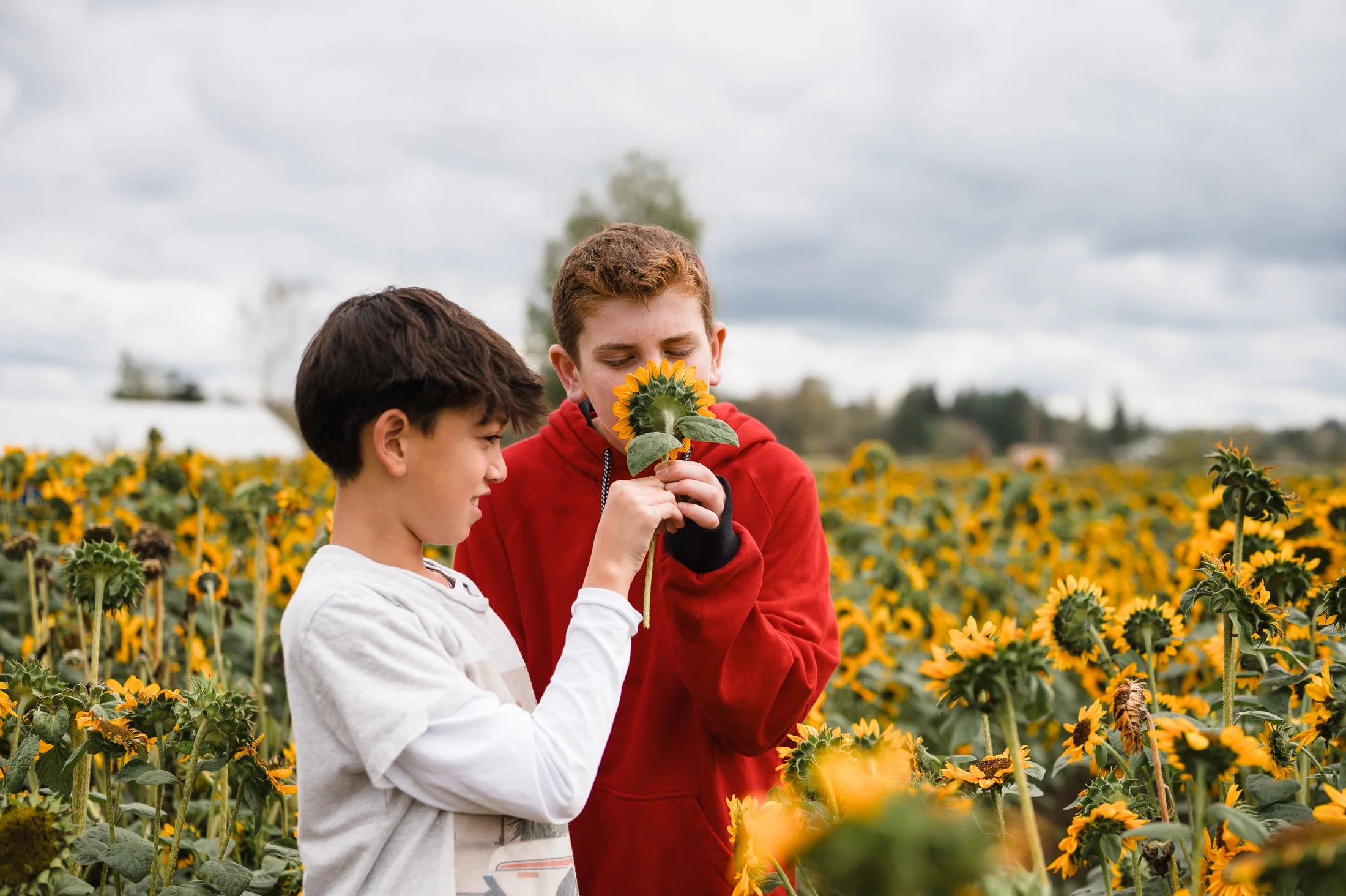 lifestyle-branding-children-smelling-sunflowers-Yaletown-Photography-Vancouver-Photographer-photo