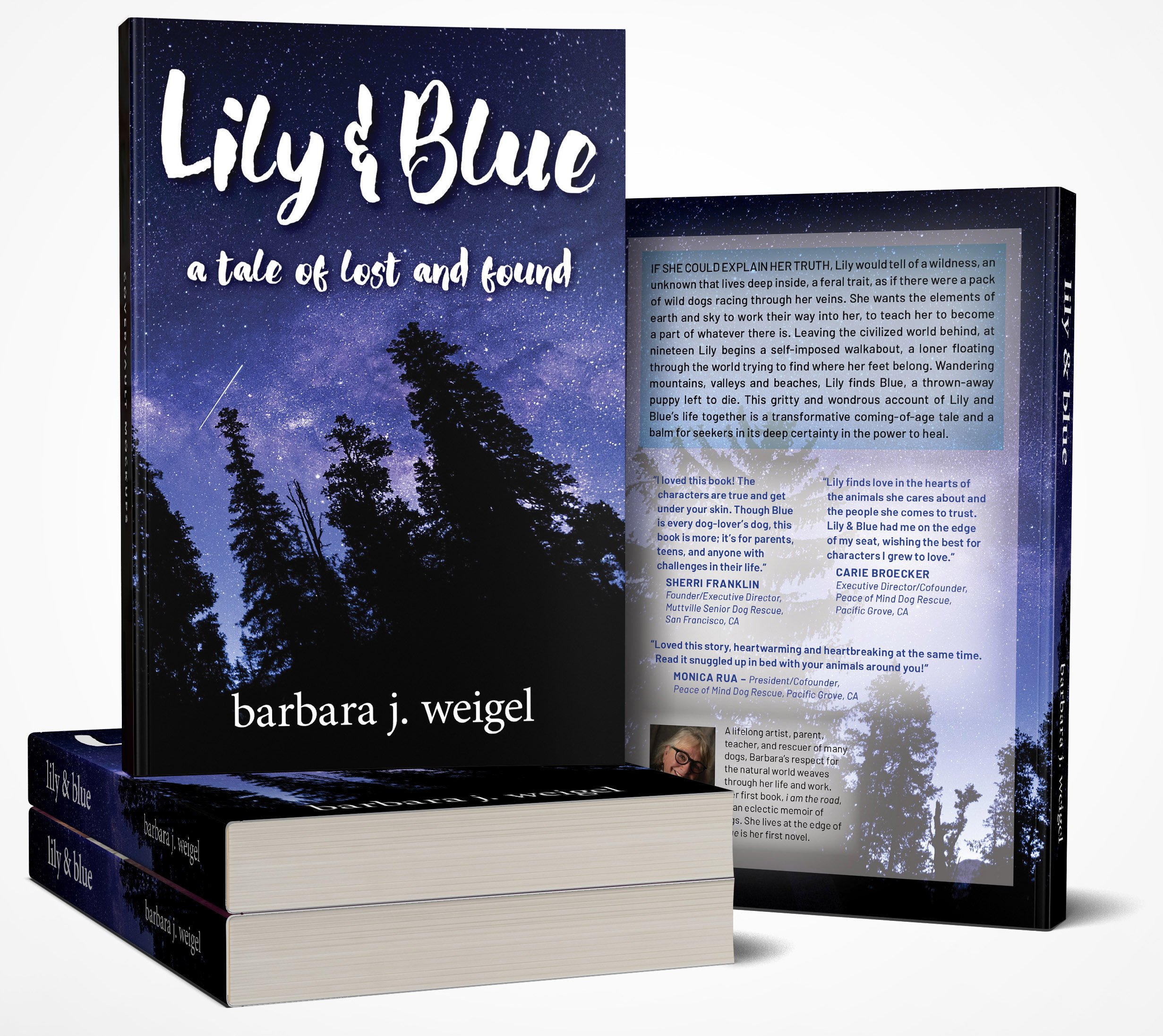 Lily and Blue cover stacked.jpg